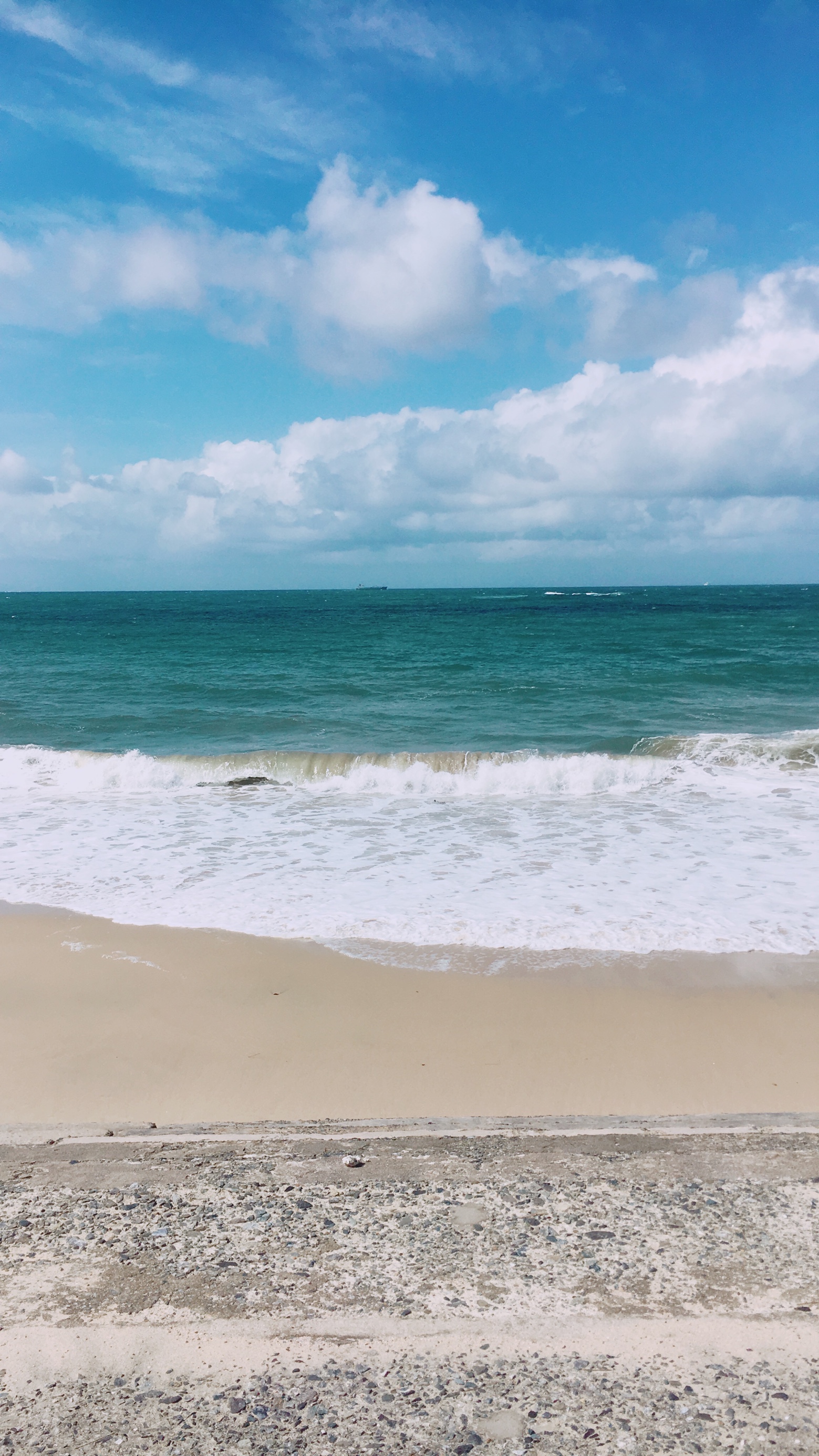 海