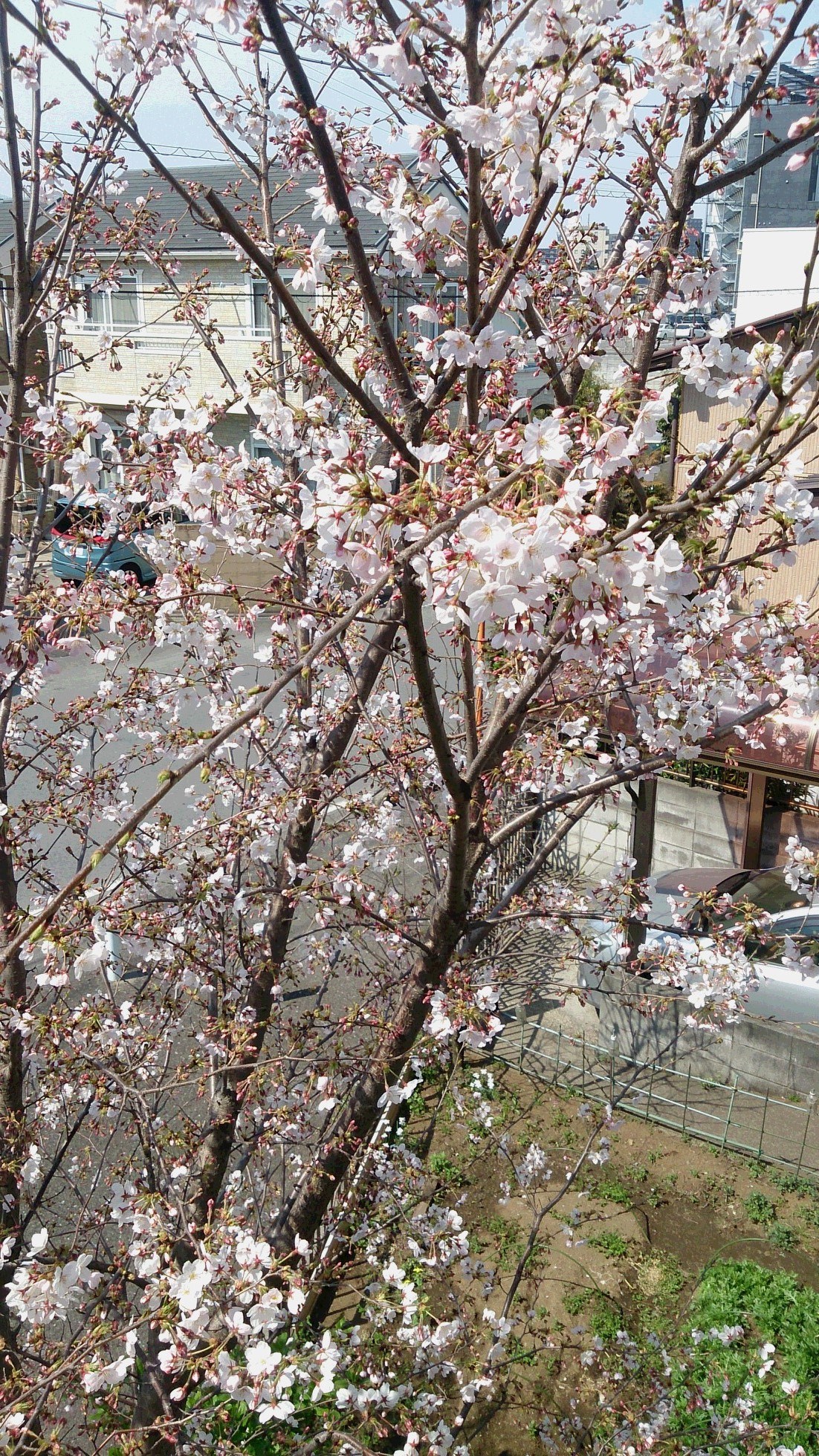 4月5日