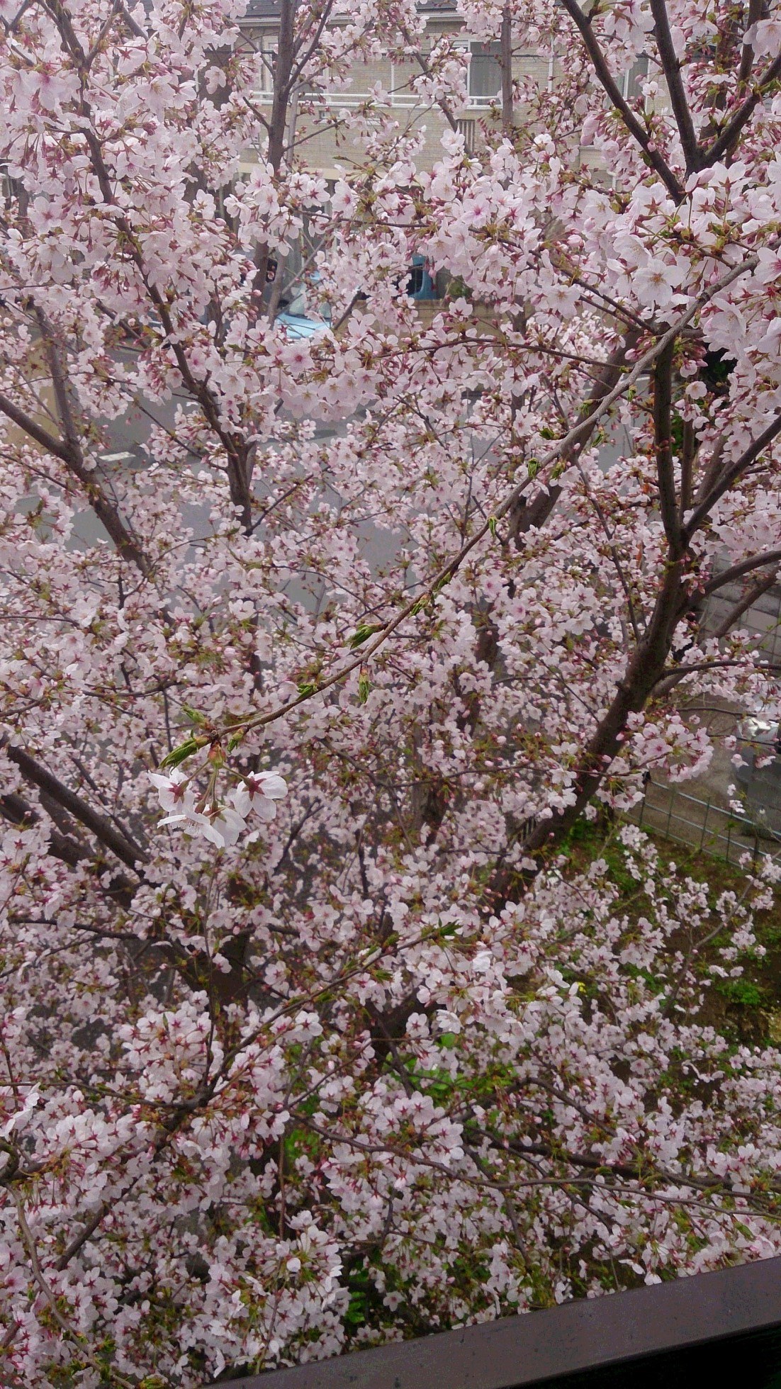 4月7日