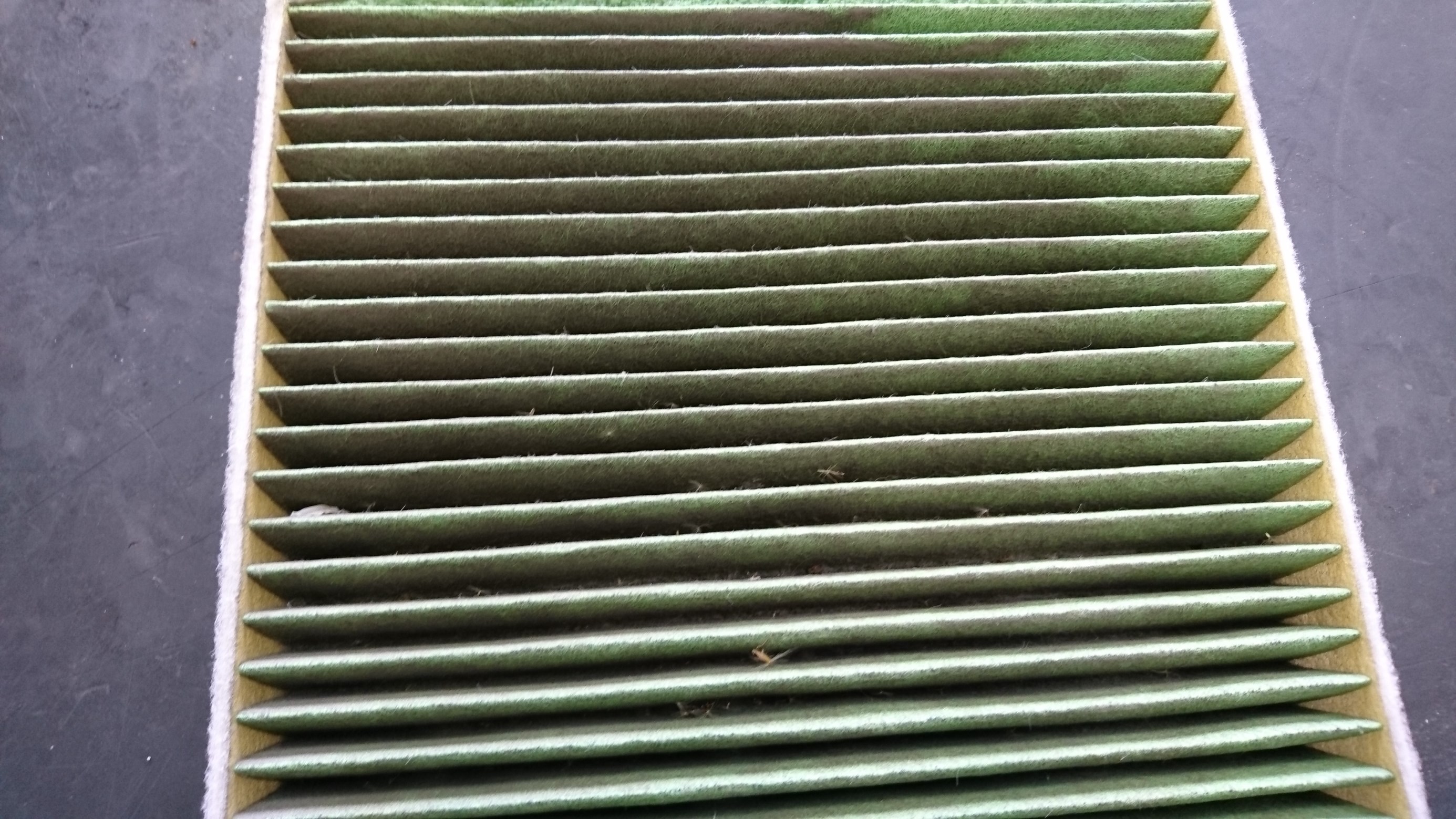 スタッフ撮影写真