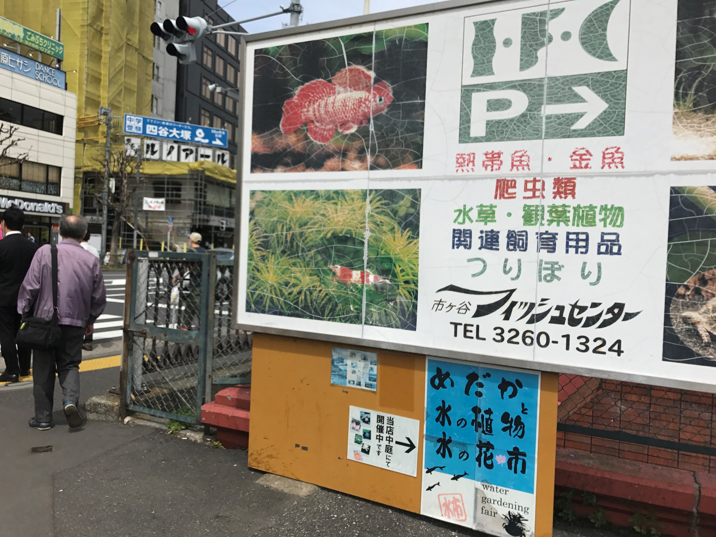 ミドリフグ ついに スタッフ日記 タイヤ館 三鷹 東京都のタイヤ カー用品ショップ タイヤからはじまる トータルカーメンテナンス タイヤ館グループ