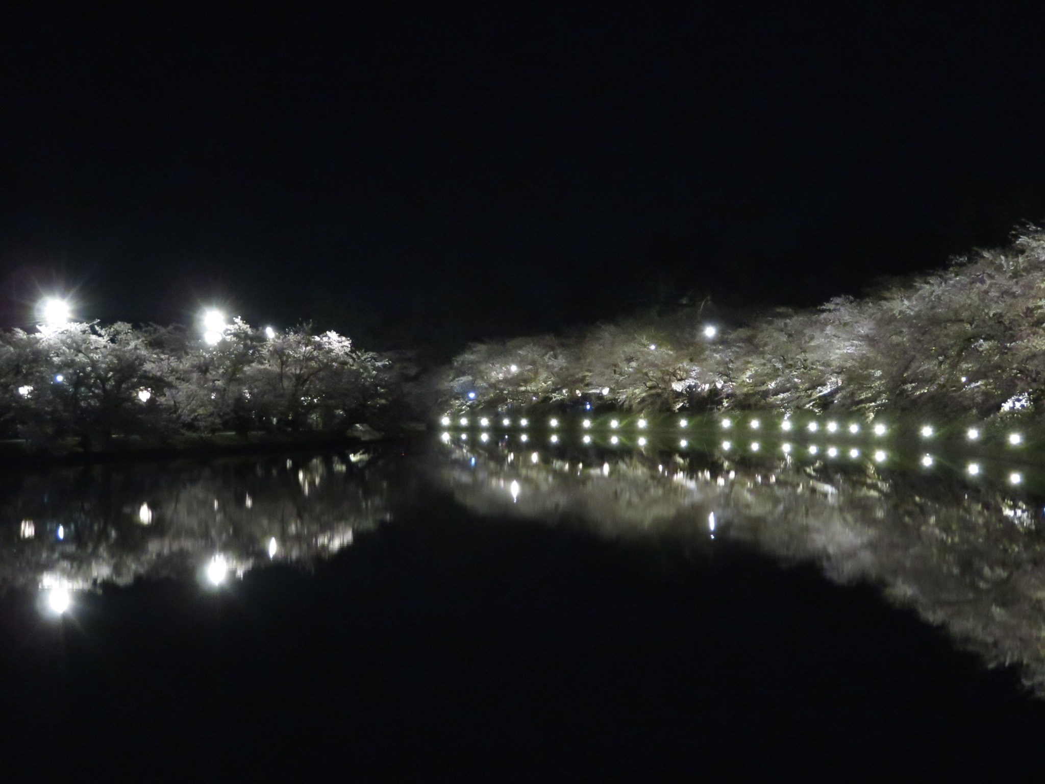 スタッフが撮影した写真です