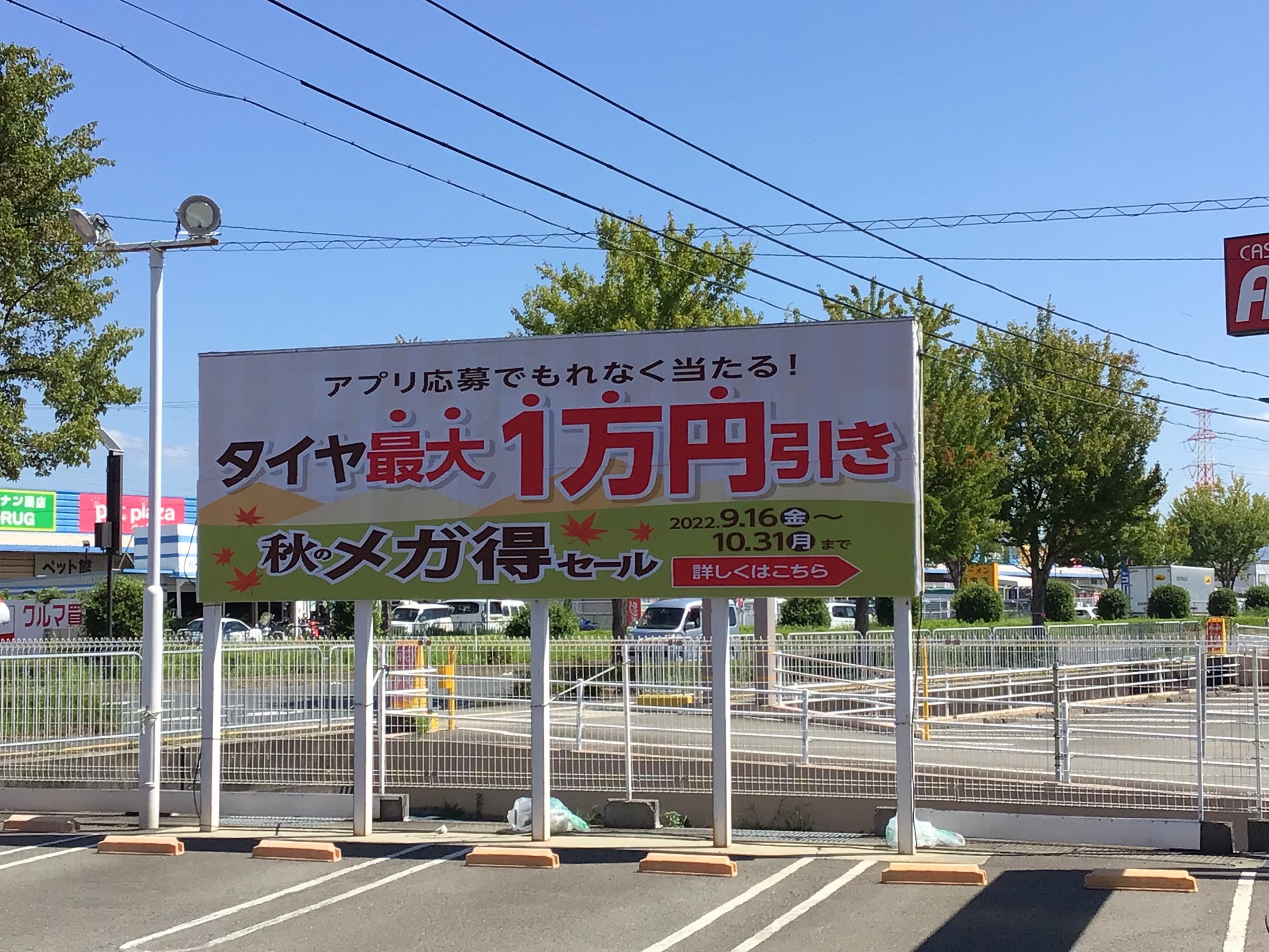 スタッフ撮影分