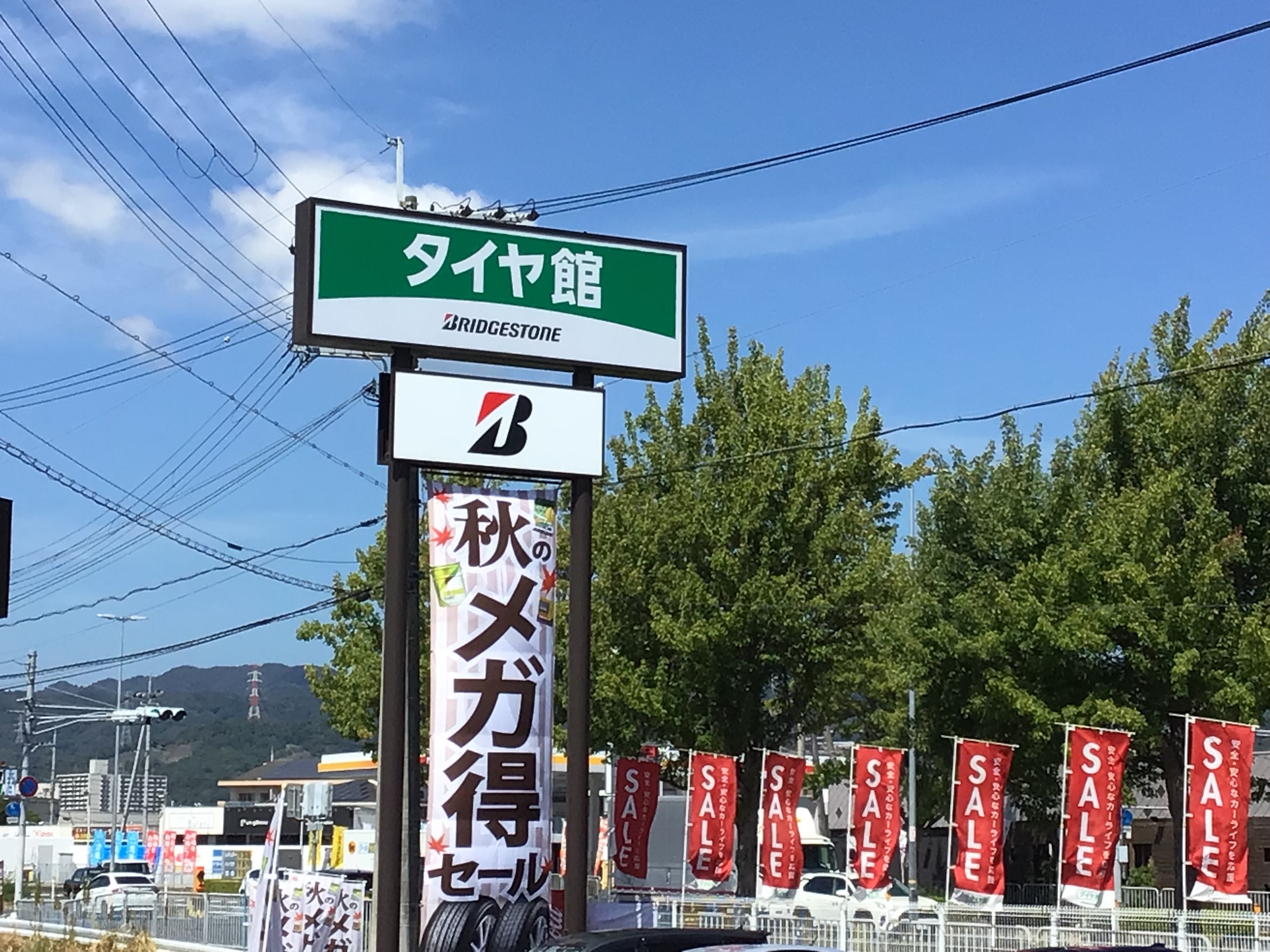 スタッフ撮影分