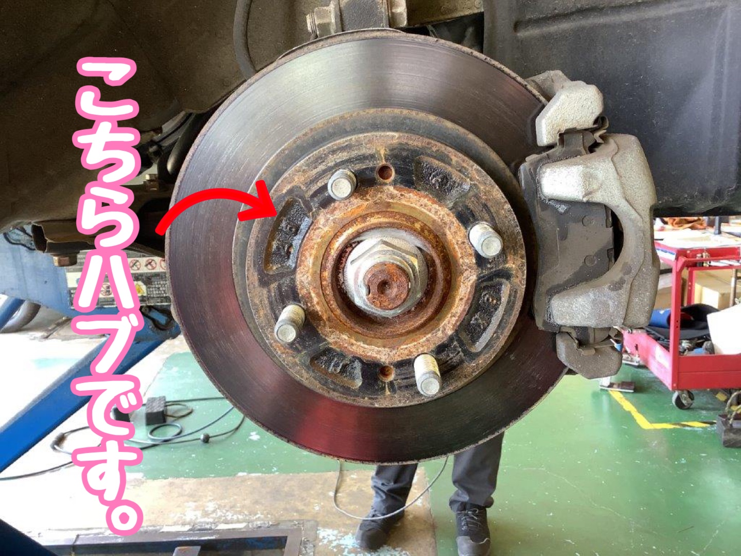 スタッフが撮影加工