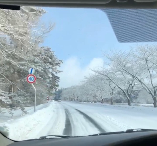 スタッフ撮影です。