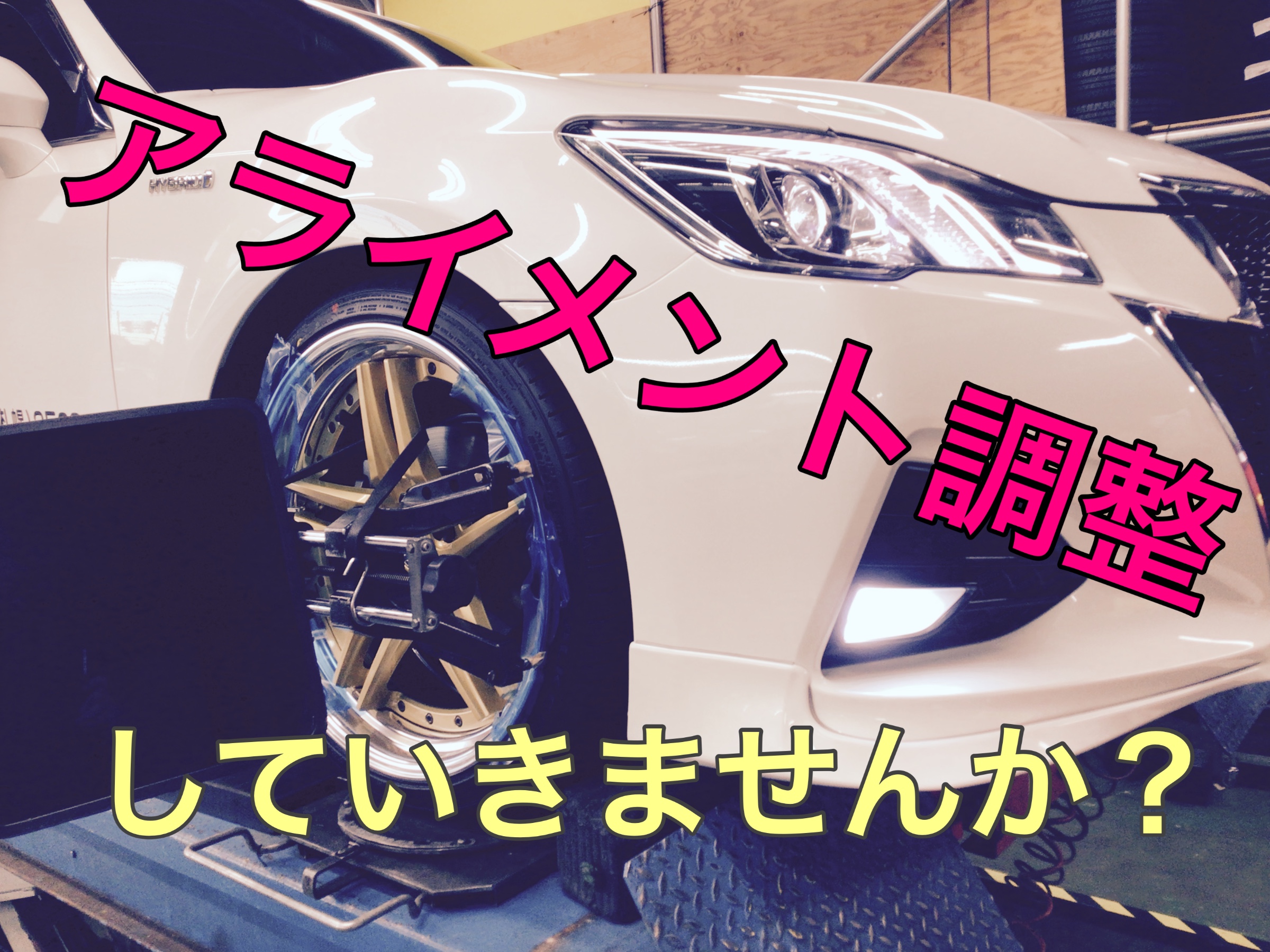スタッフ撮影画像です