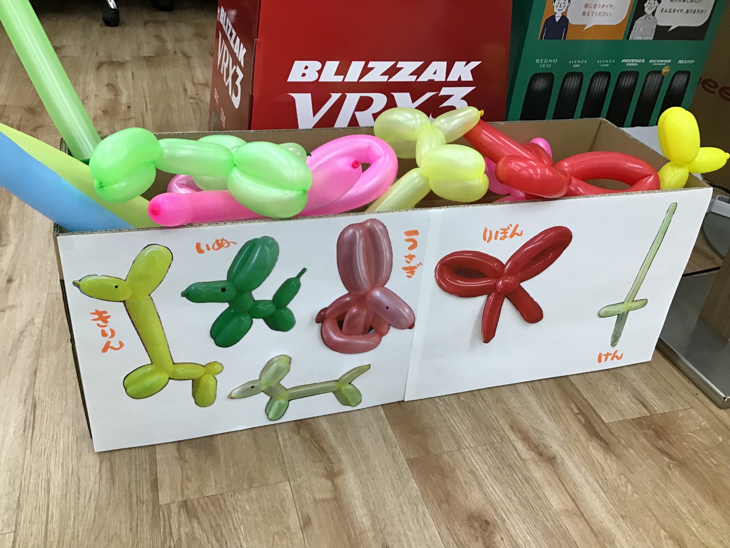 スタッフ撮影です。