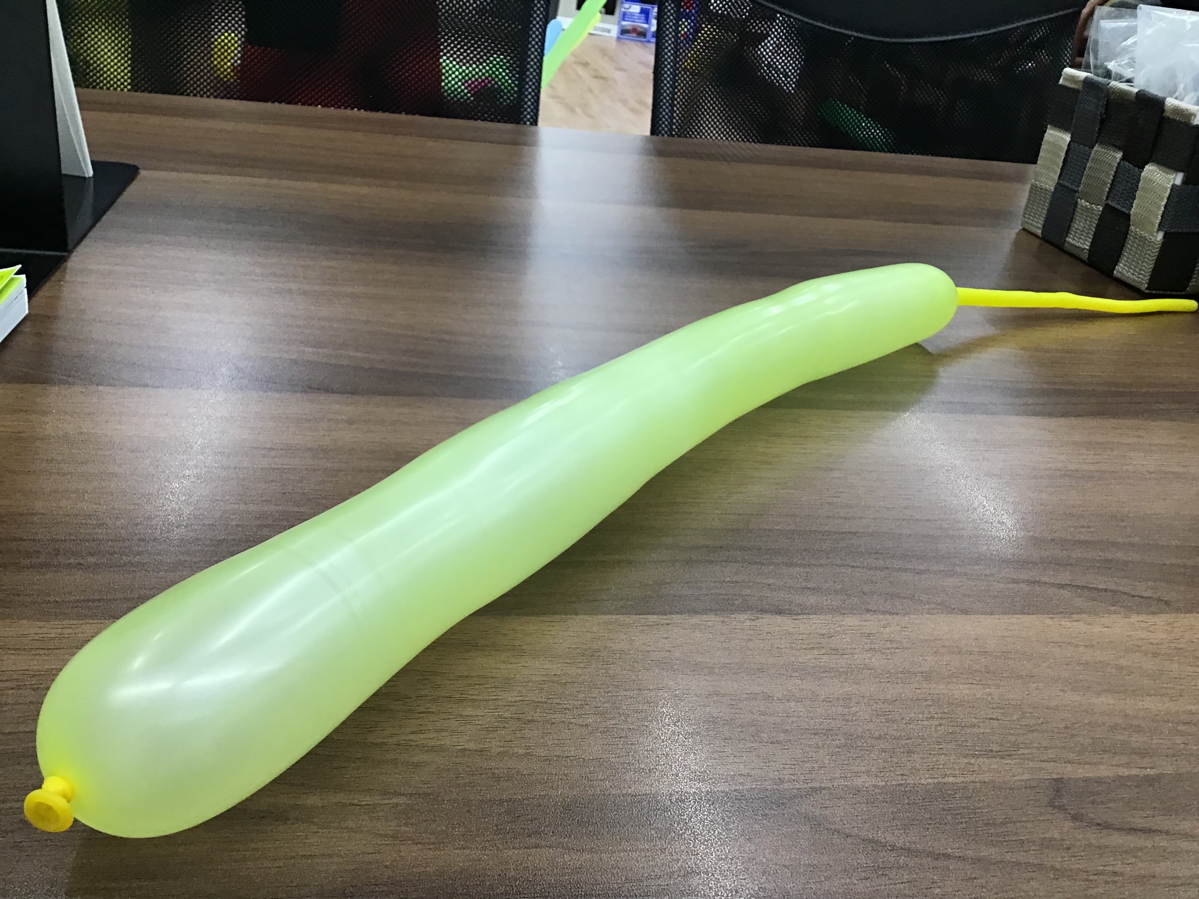 スタッフ撮影です