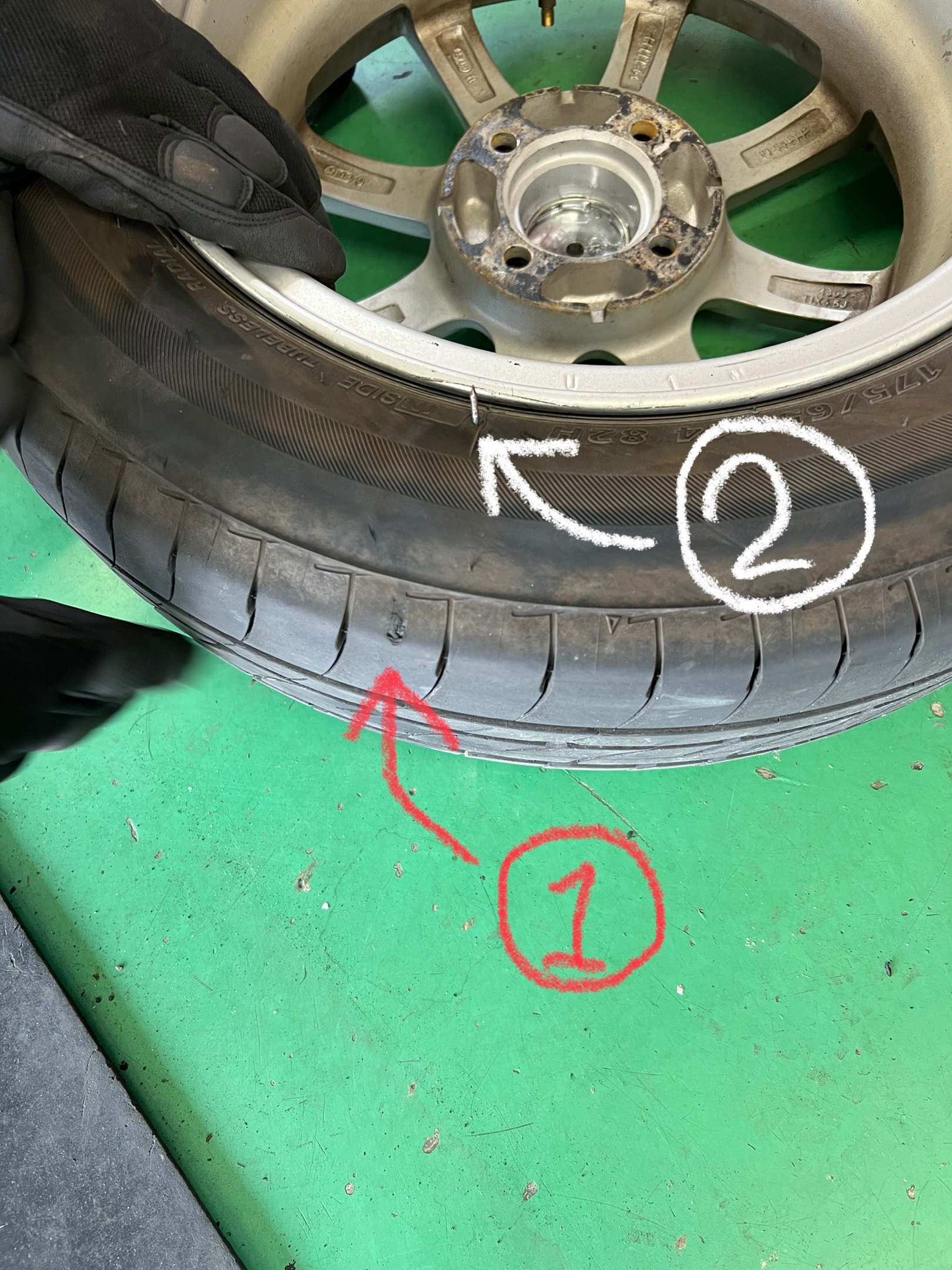 スタッフ撮影です　ペイントで文字書きました