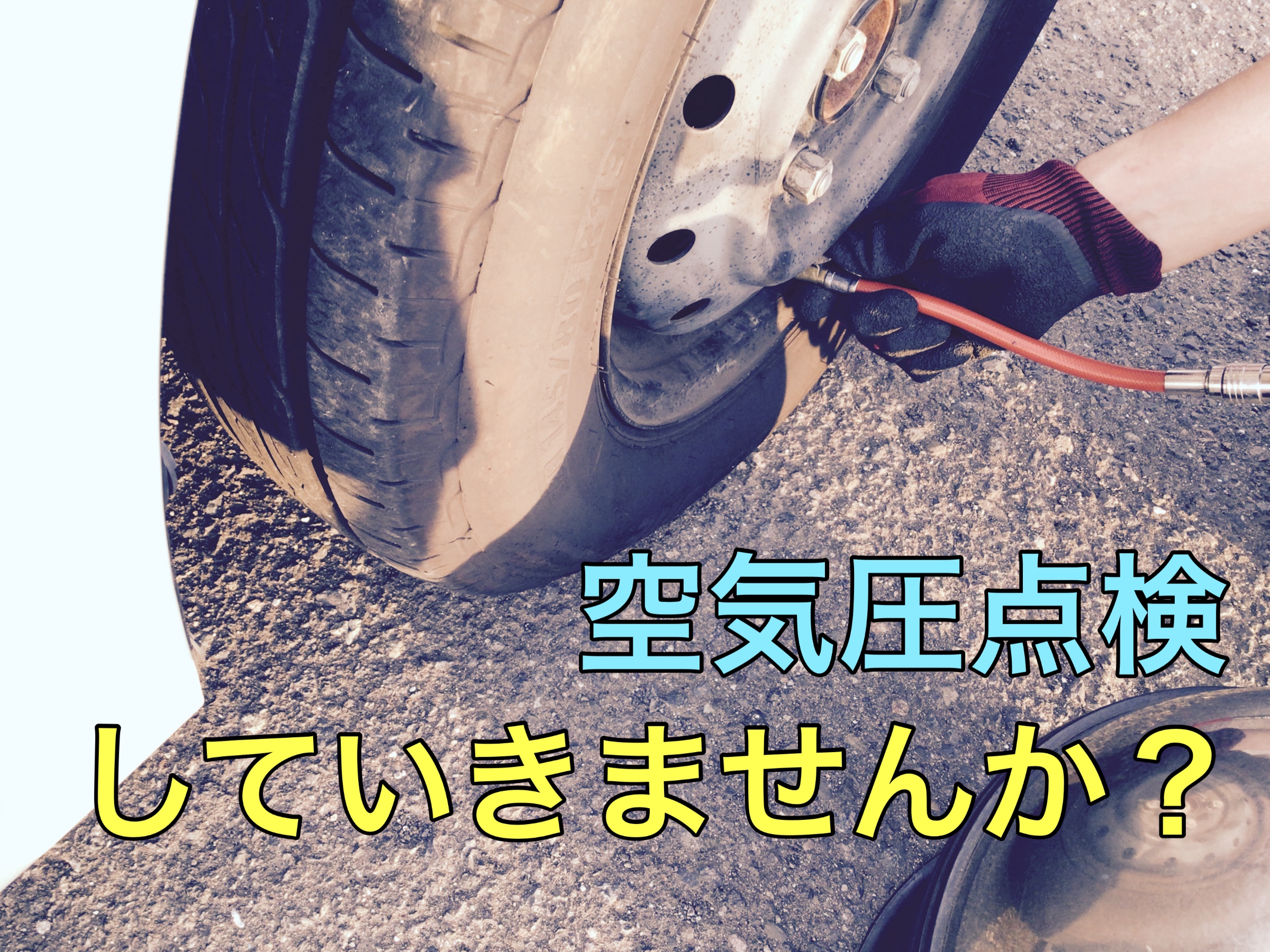 スタッフ撮影写真です。