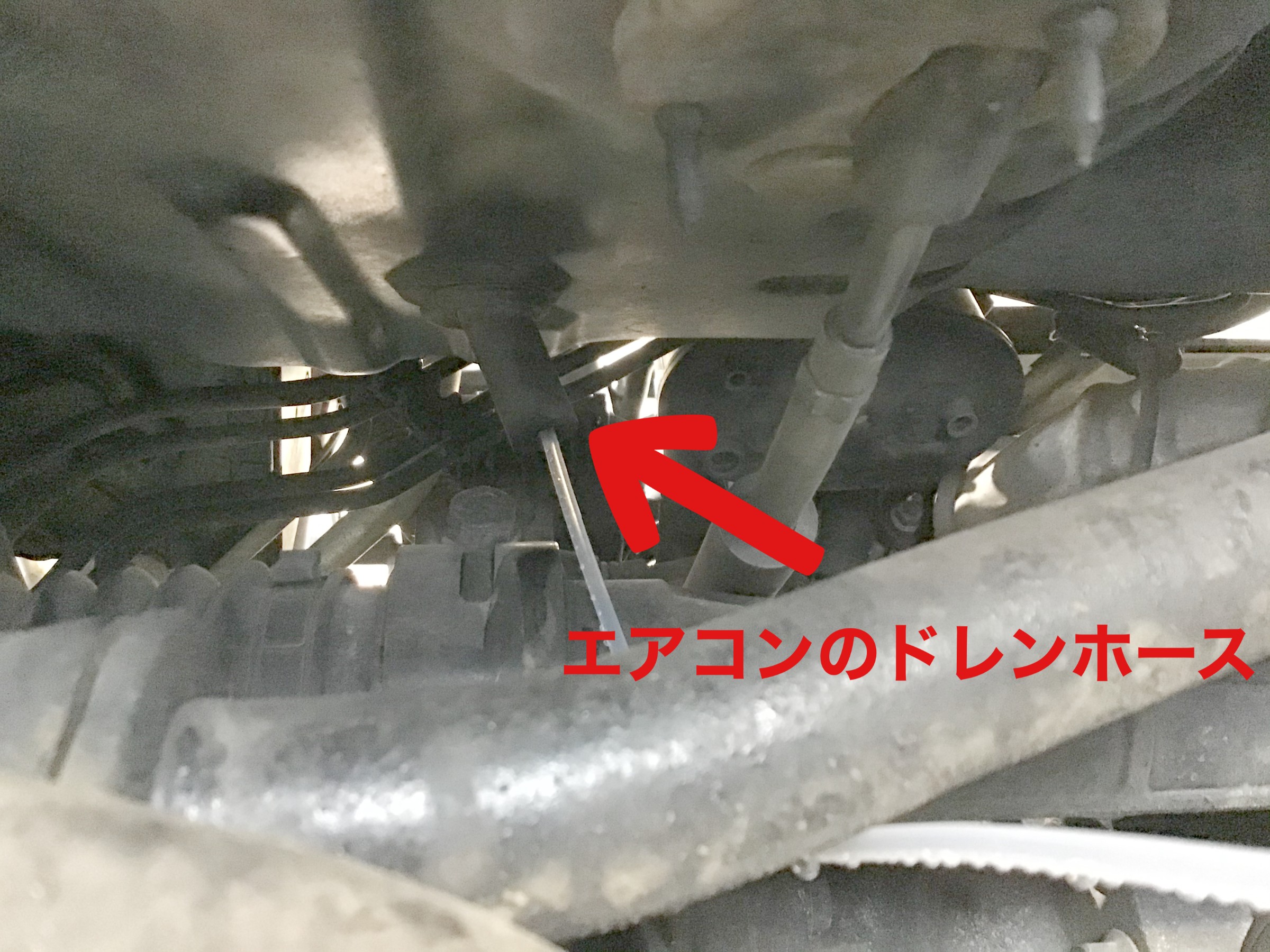 スタッフ撮影