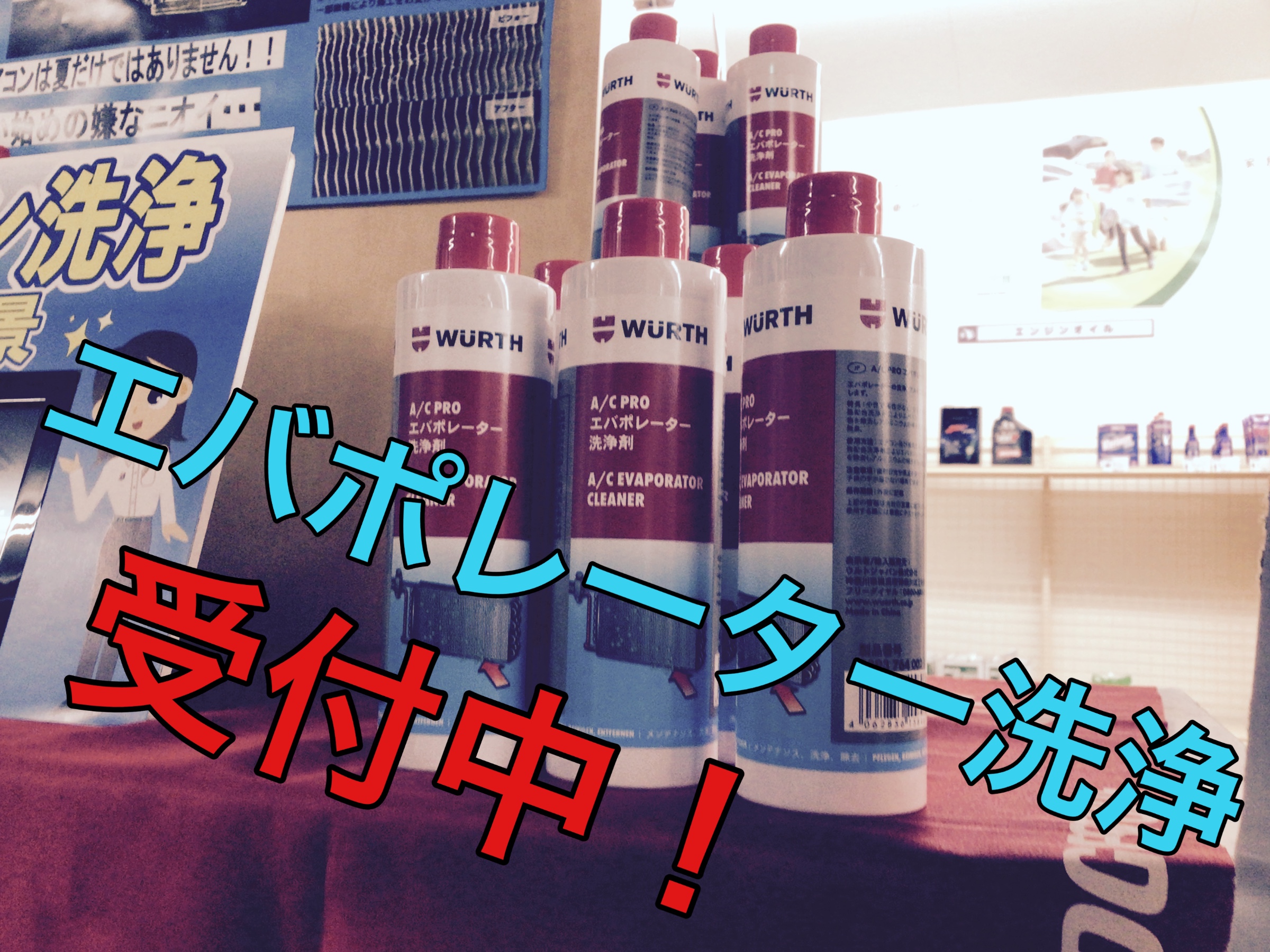 スタッフ撮影画像です