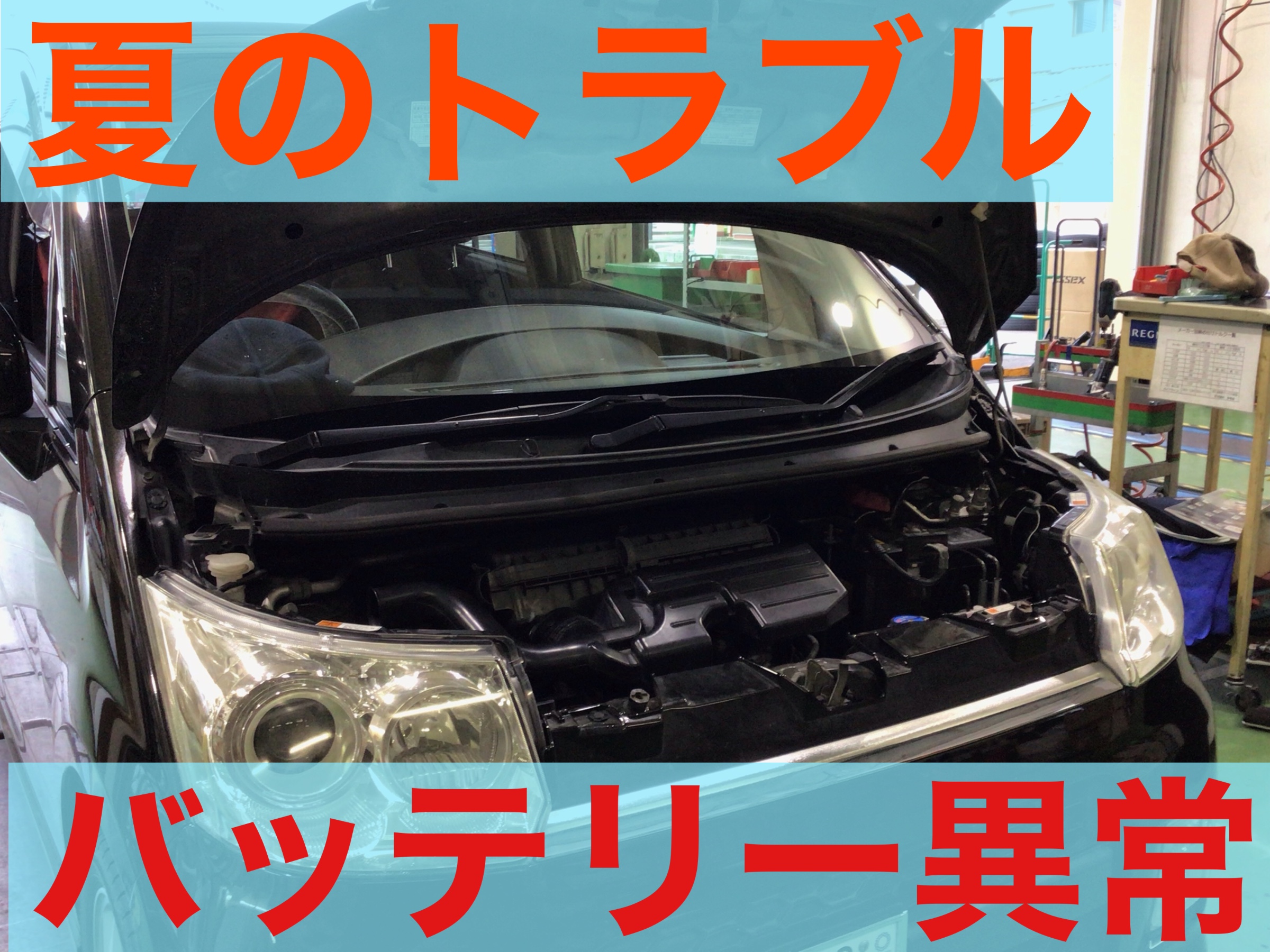 スタッフ