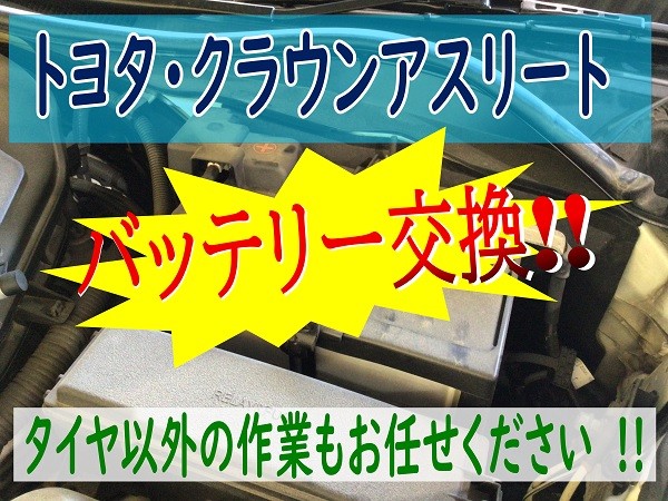 スタッフが撮影加工した画像