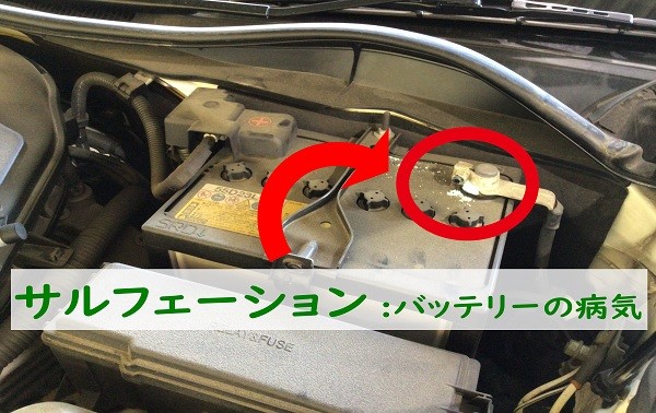 スタッフが撮影加工した画像