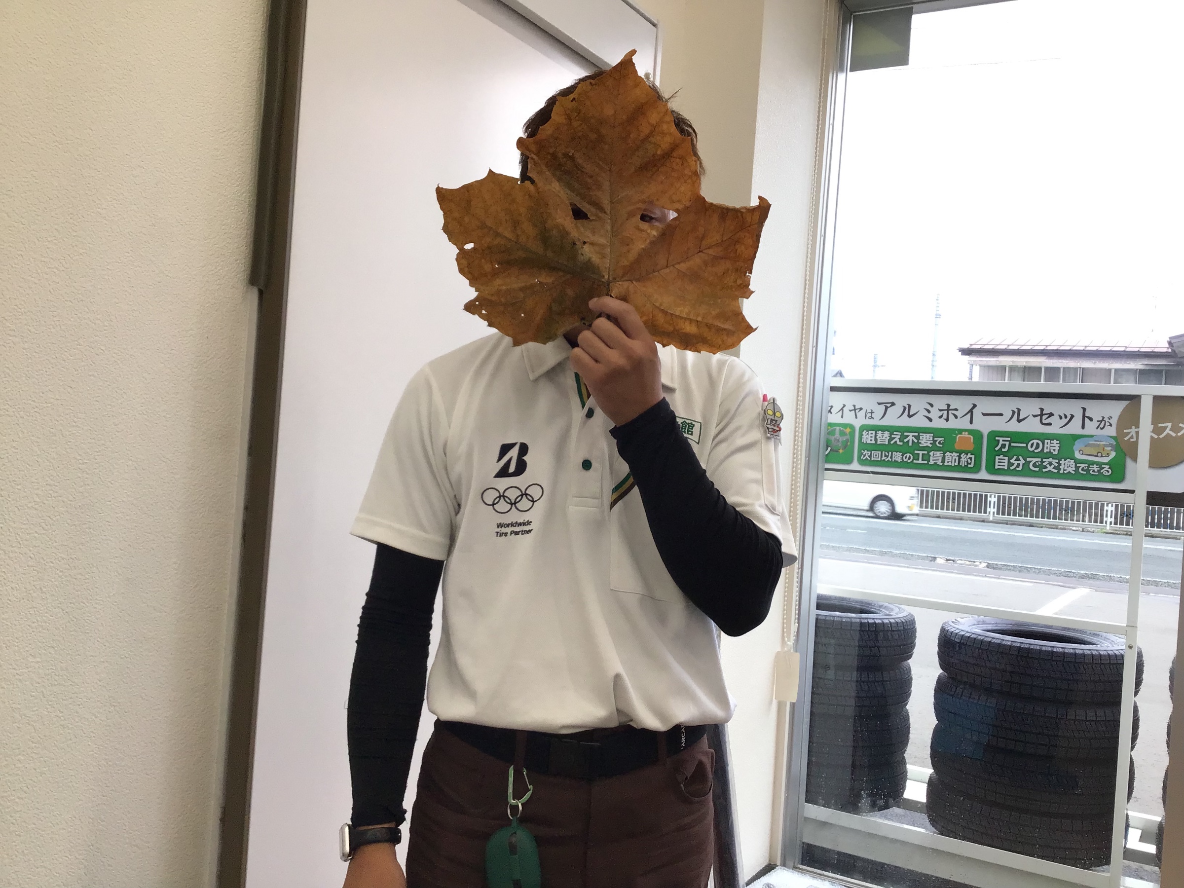 スタッフ撮影です