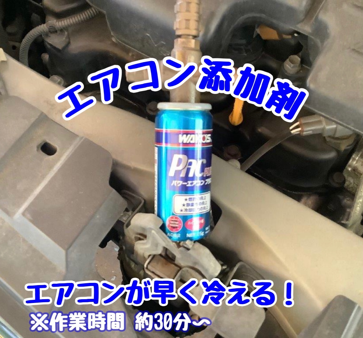 スタッフが撮影加工