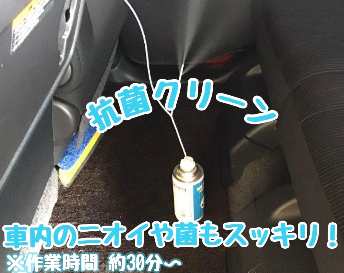 スタッフが撮影加工
