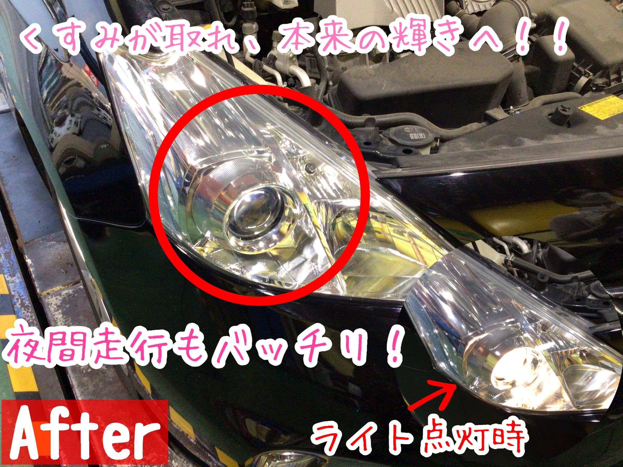 スタッフが撮影加工した画像