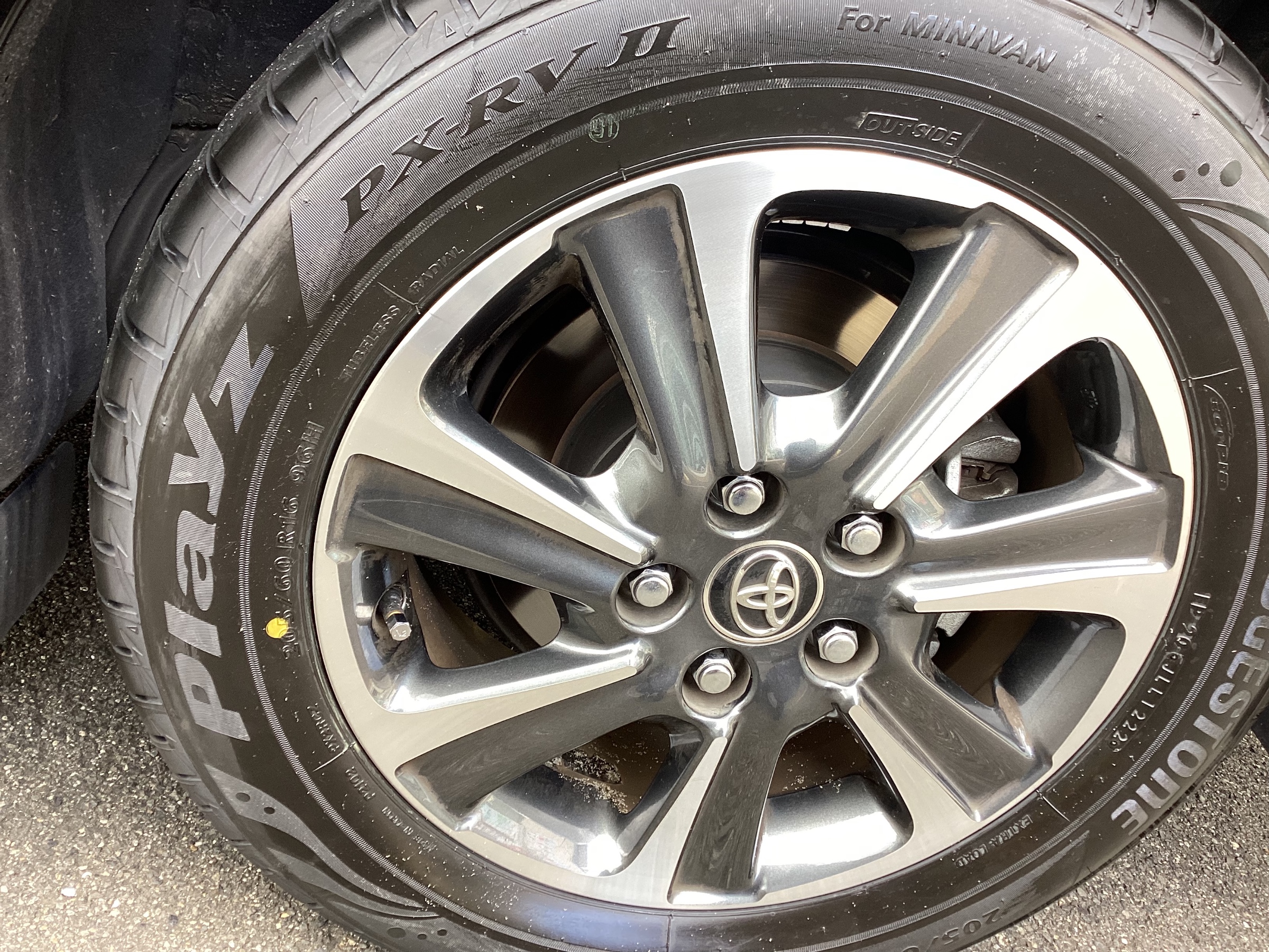 スタッフ撮影画像です。