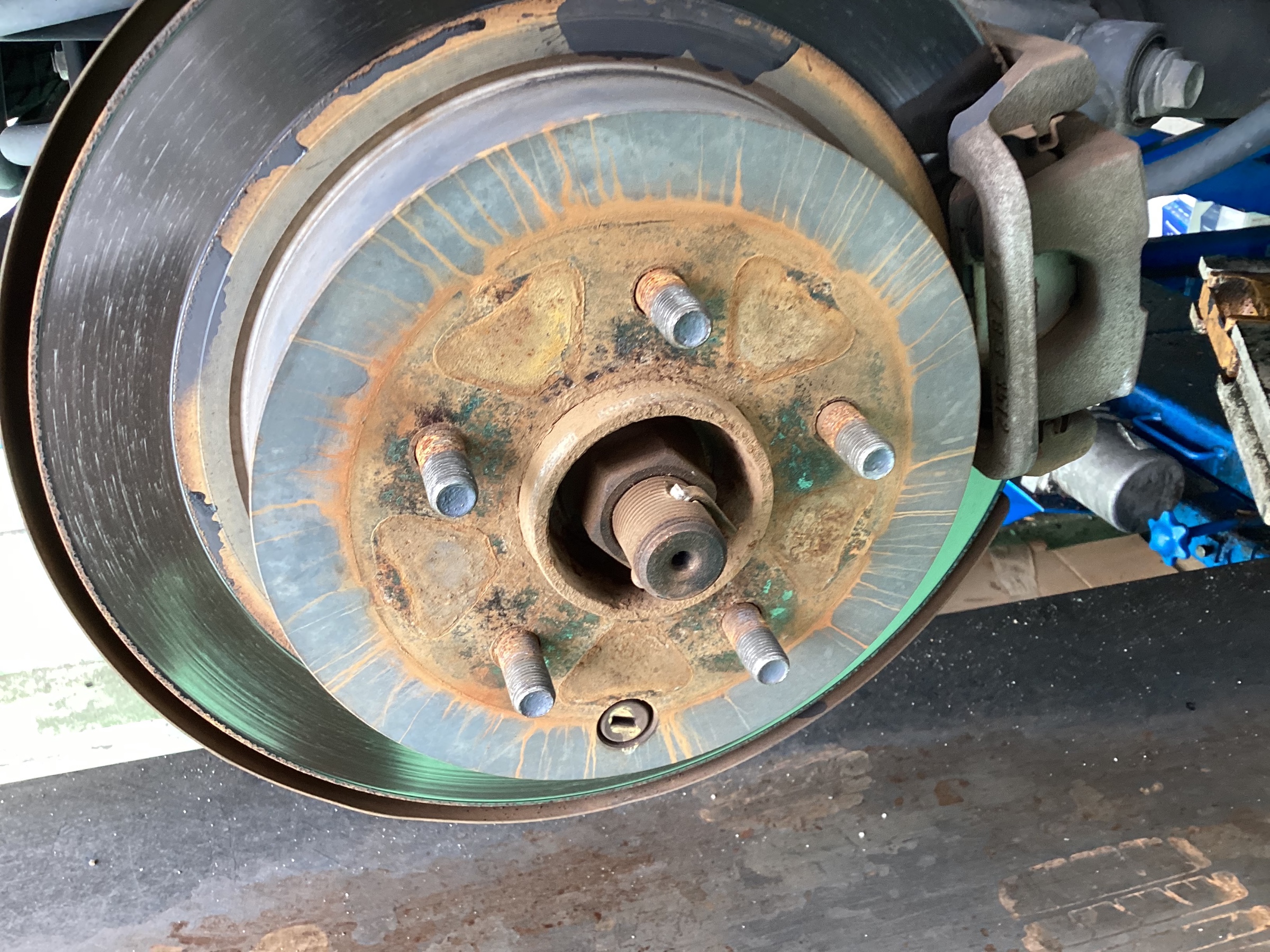 スタッフ撮影画像になります