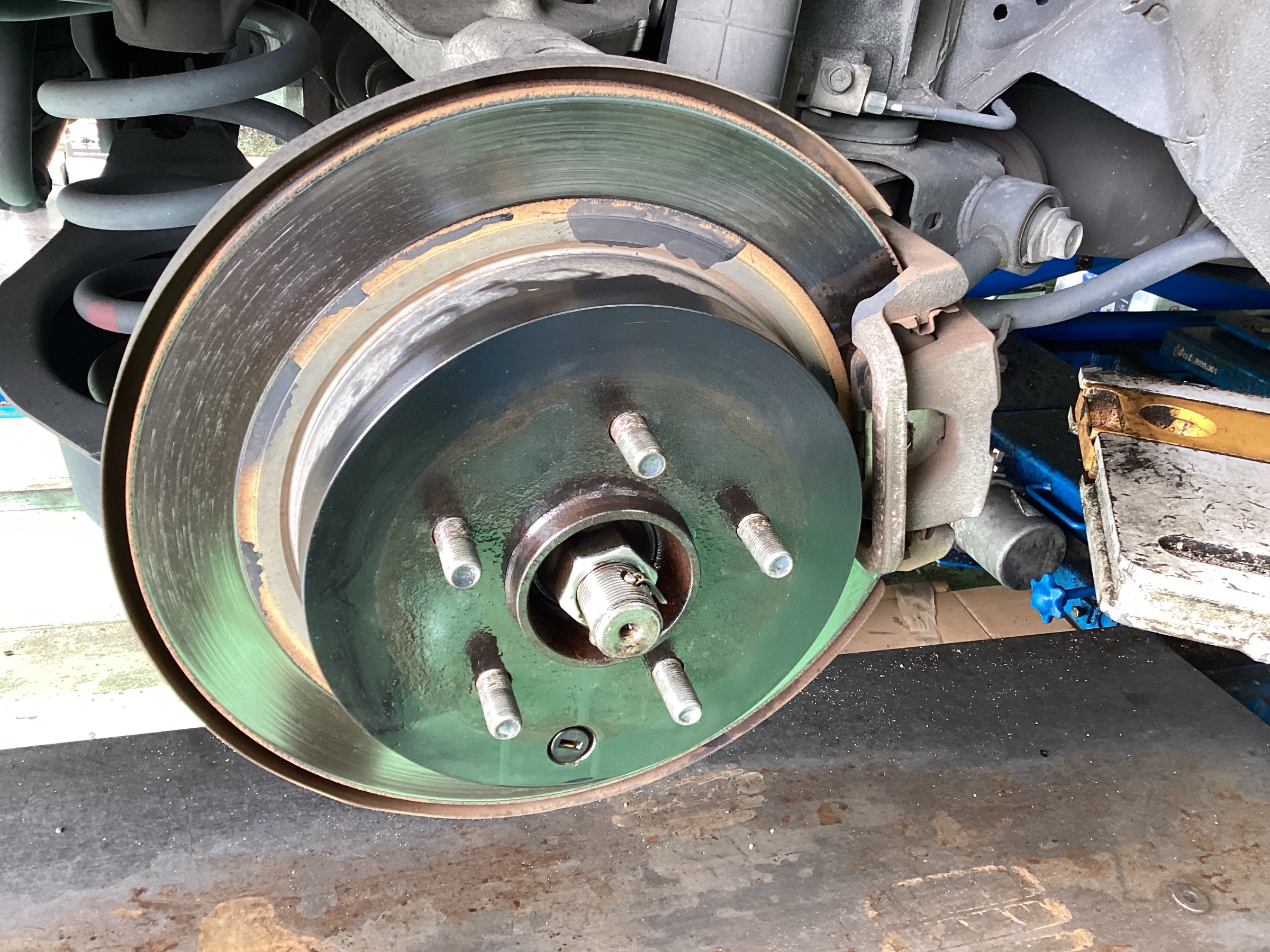 スタッフ撮影画像です。