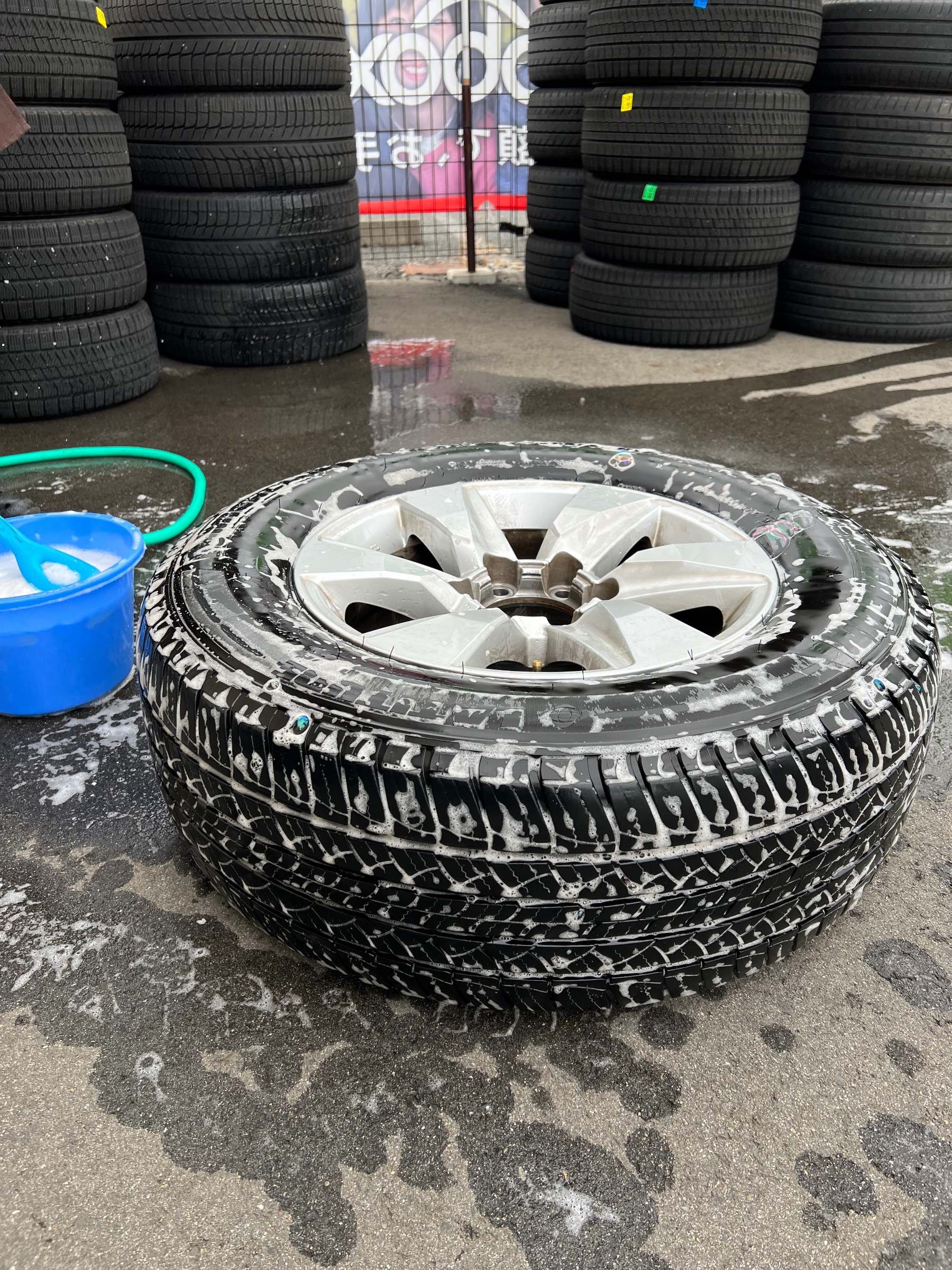 スタッフ撮影です