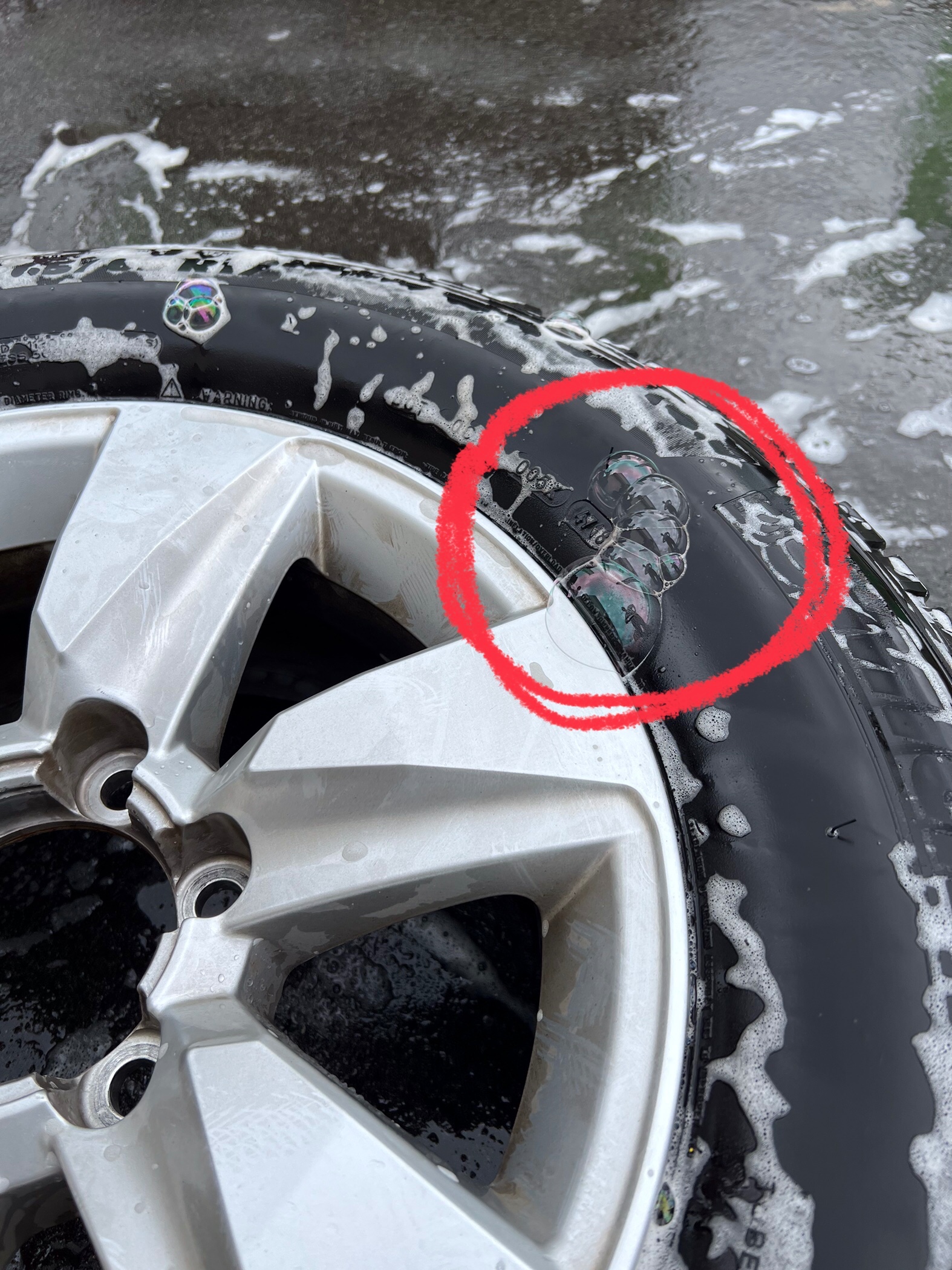 スタッフ撮影です