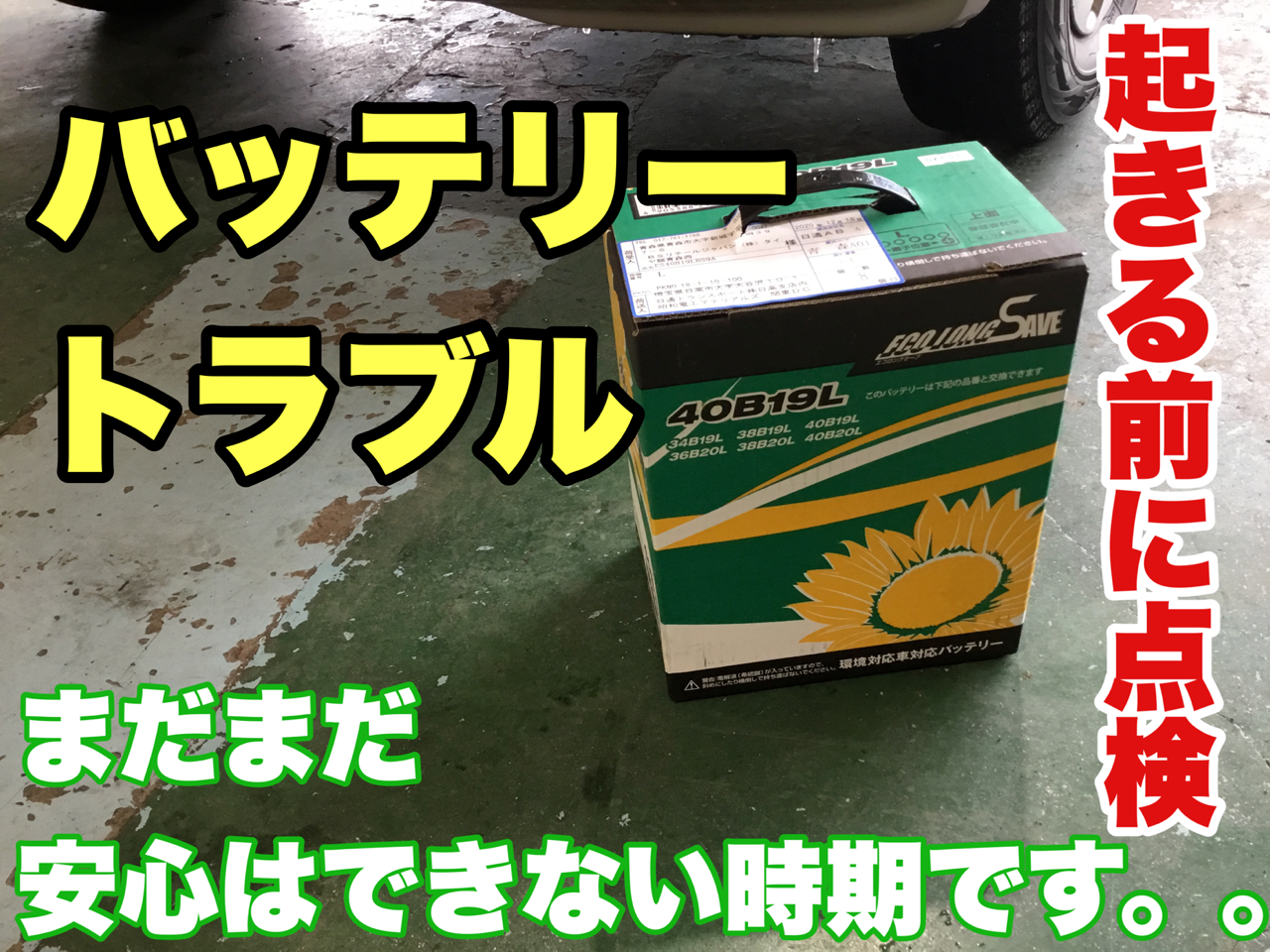 スタッフが撮影加工した画像