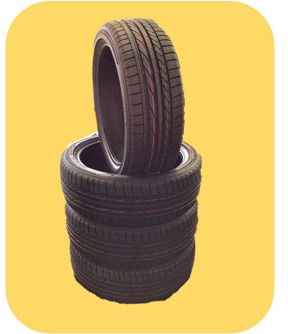 スタッフ撮影分