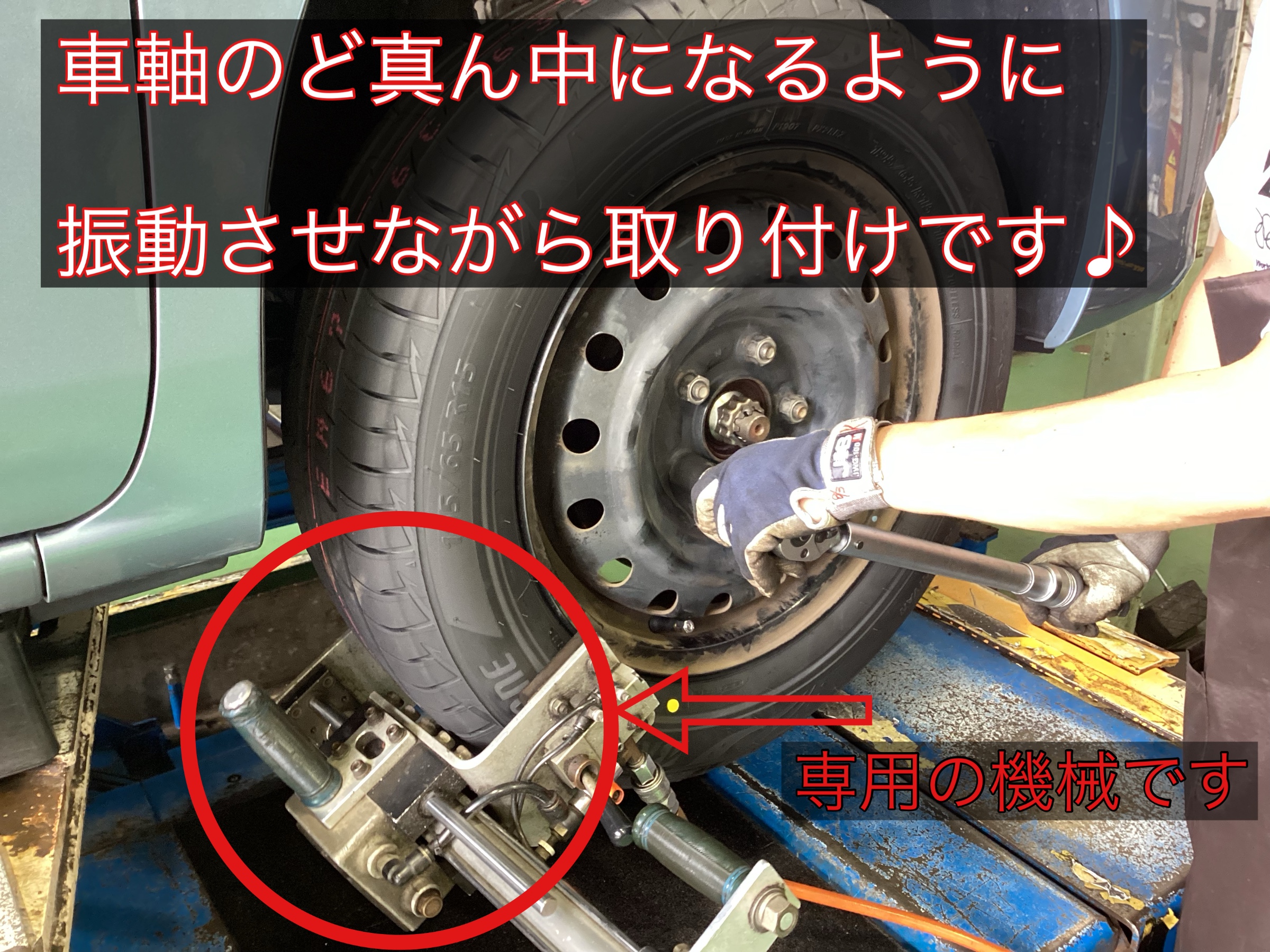 うめ確認ページ $_1.JPG?set_id=880000500F