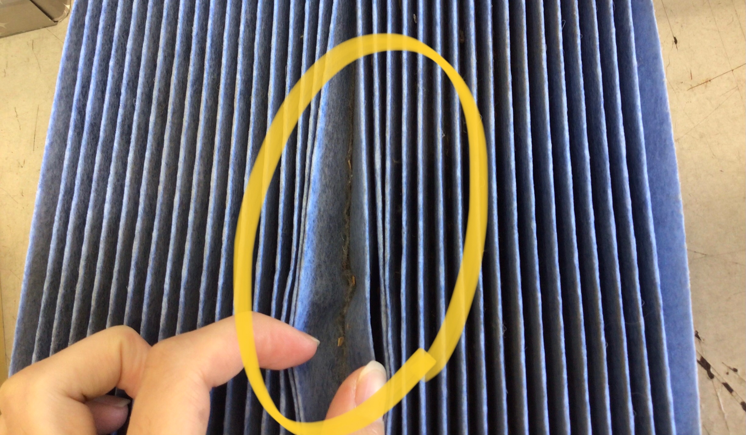 スタッフ撮影分