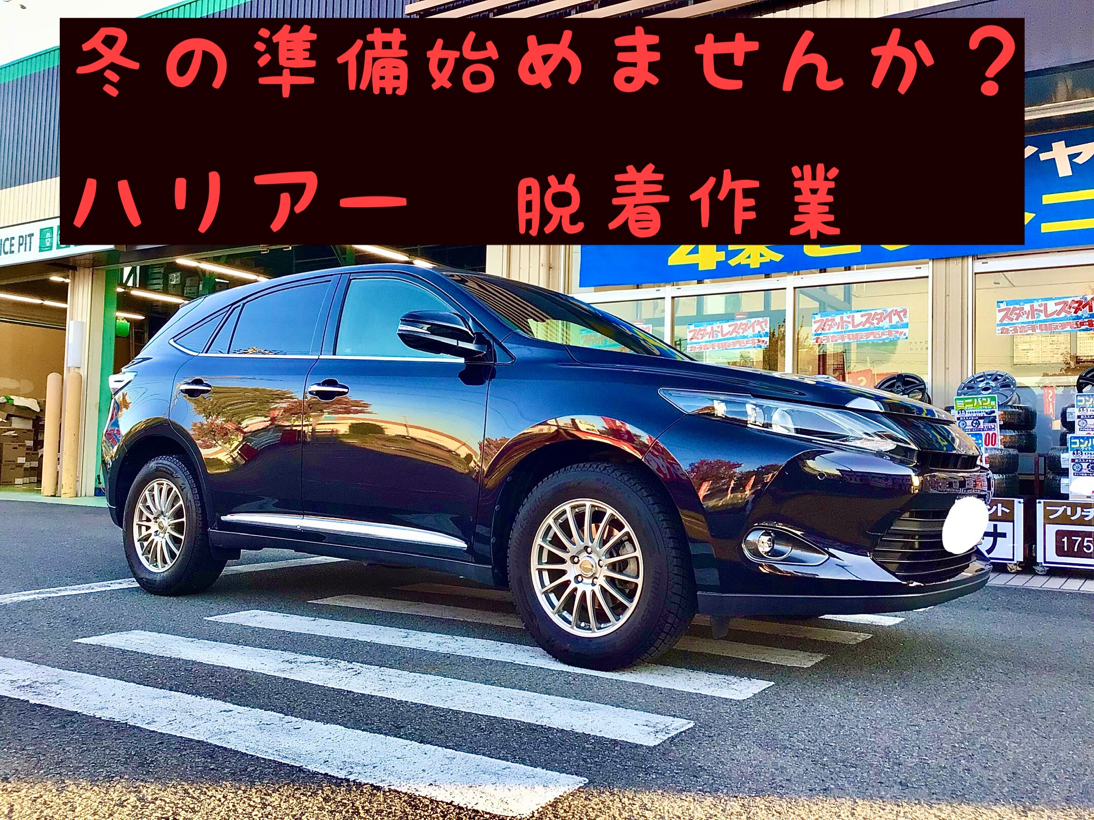 スタッフ撮影分