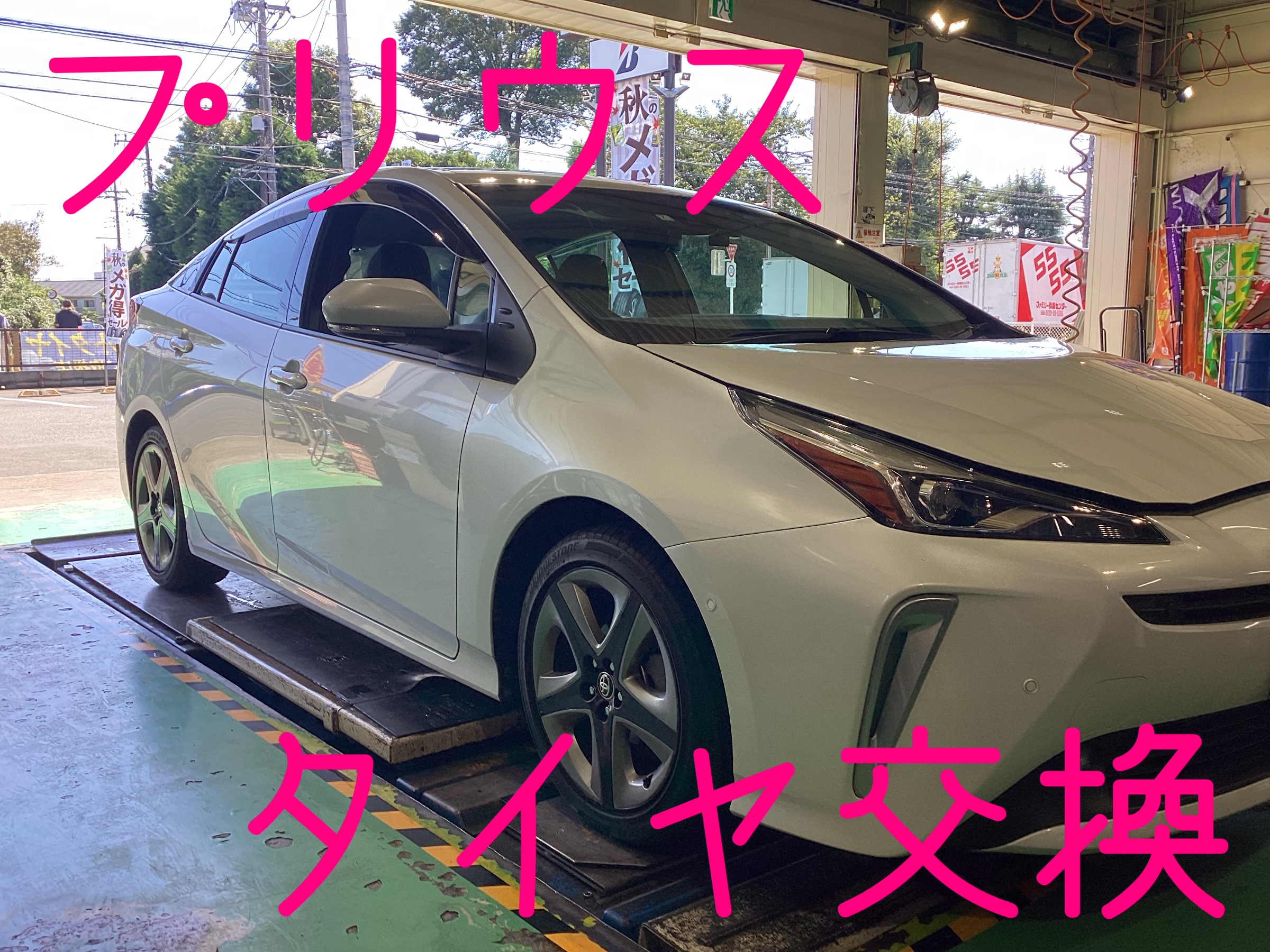 スタッフ撮影画像