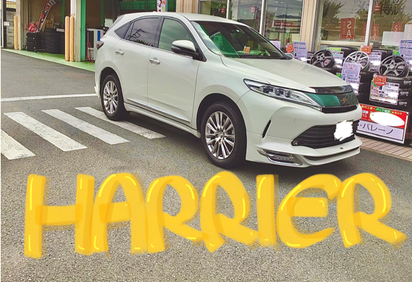 スタッフ撮影分