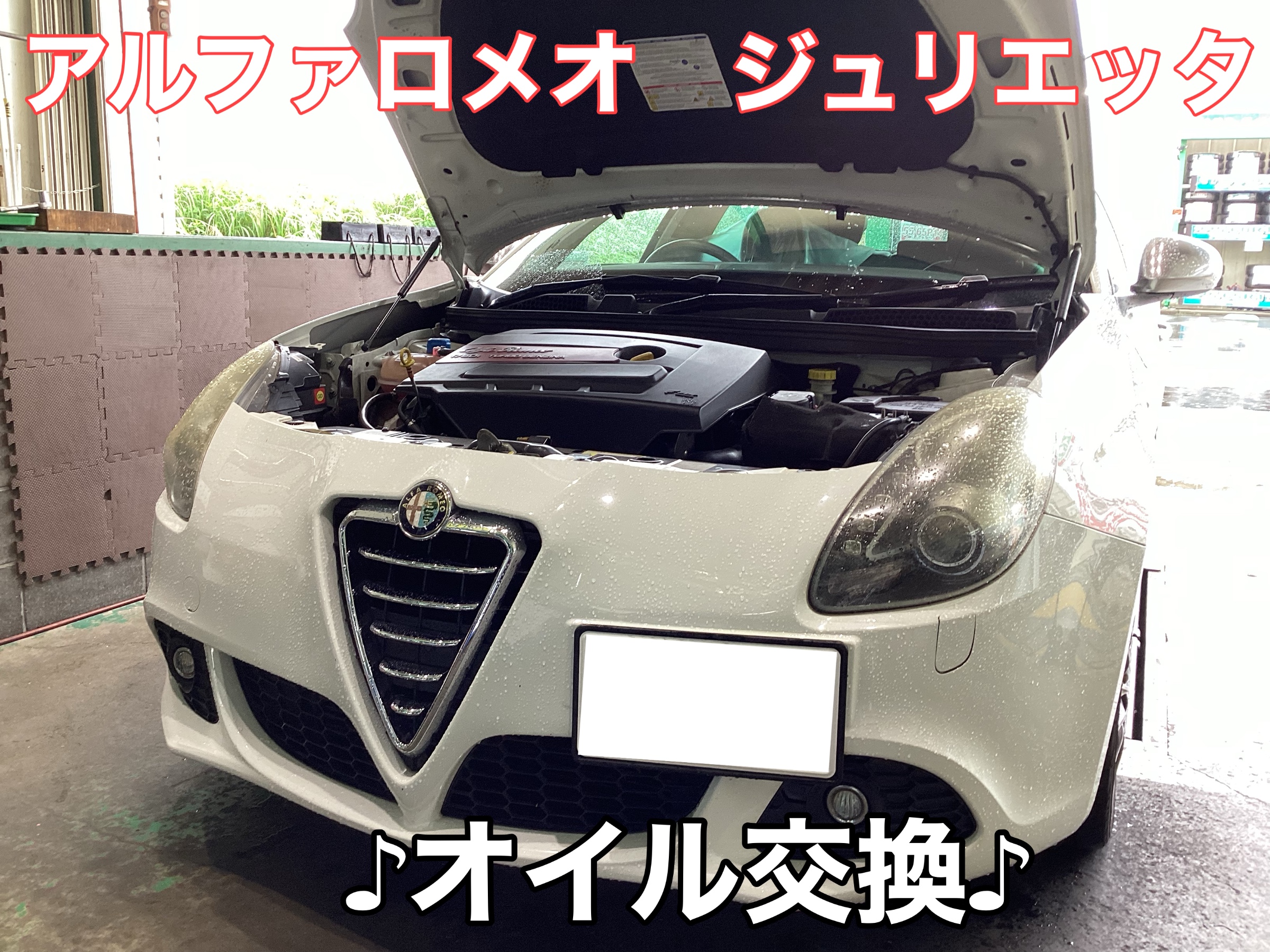 ジュリエッタ オイル交換でエンジン快調!! アルファロメオ ジュリエッタ メンテナンス商品 オイル関連 > エンジンオイル交換