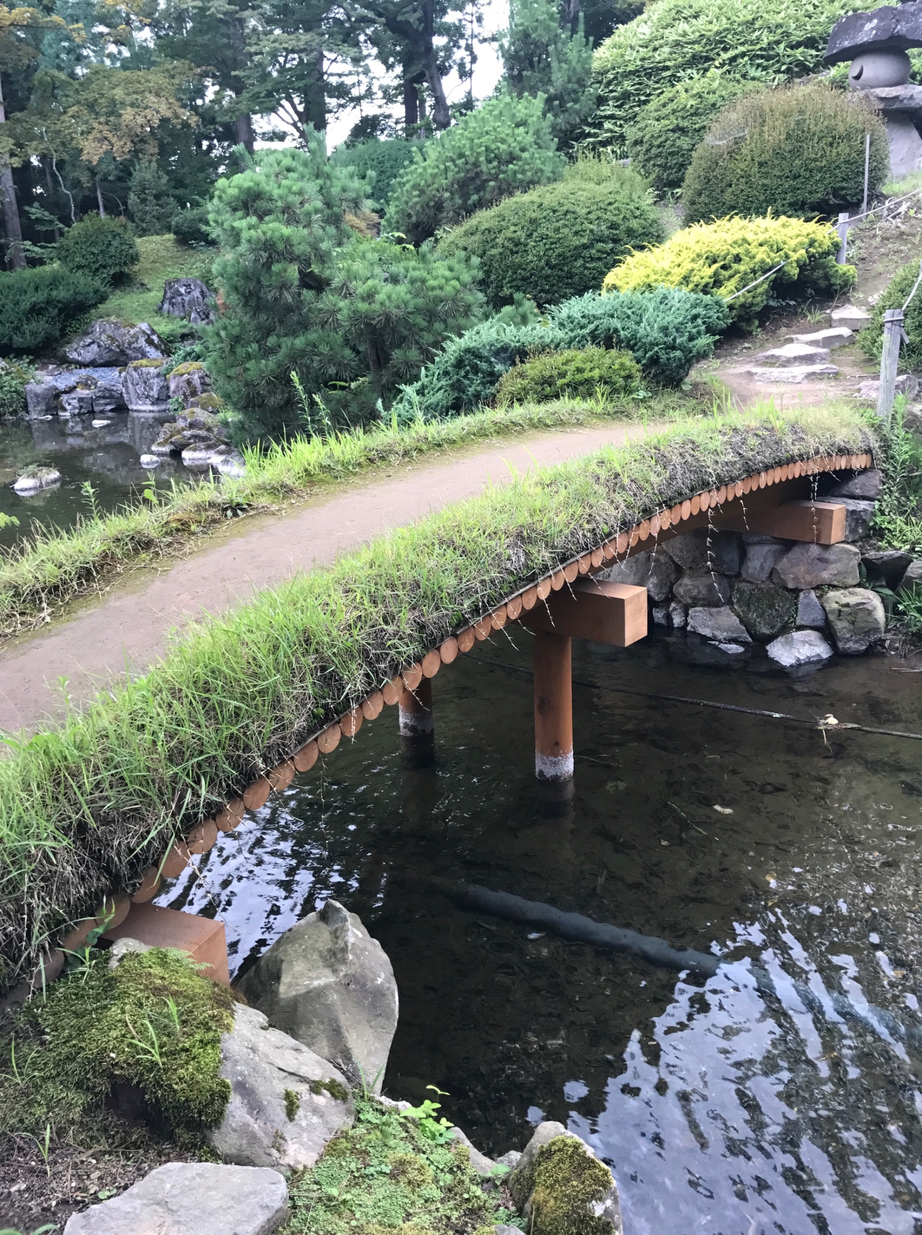 スタッフが撮影した画像です。