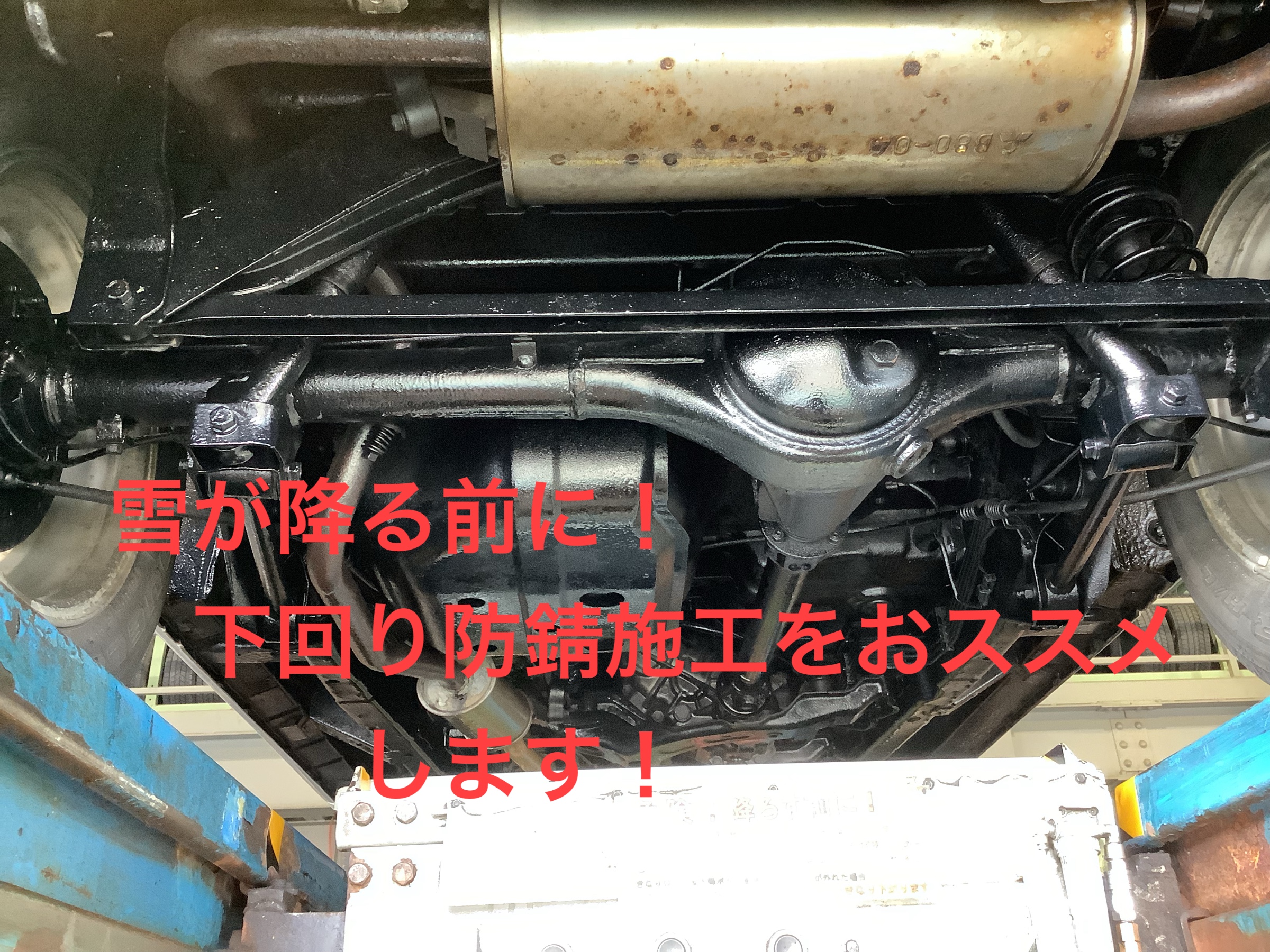 自店撮影