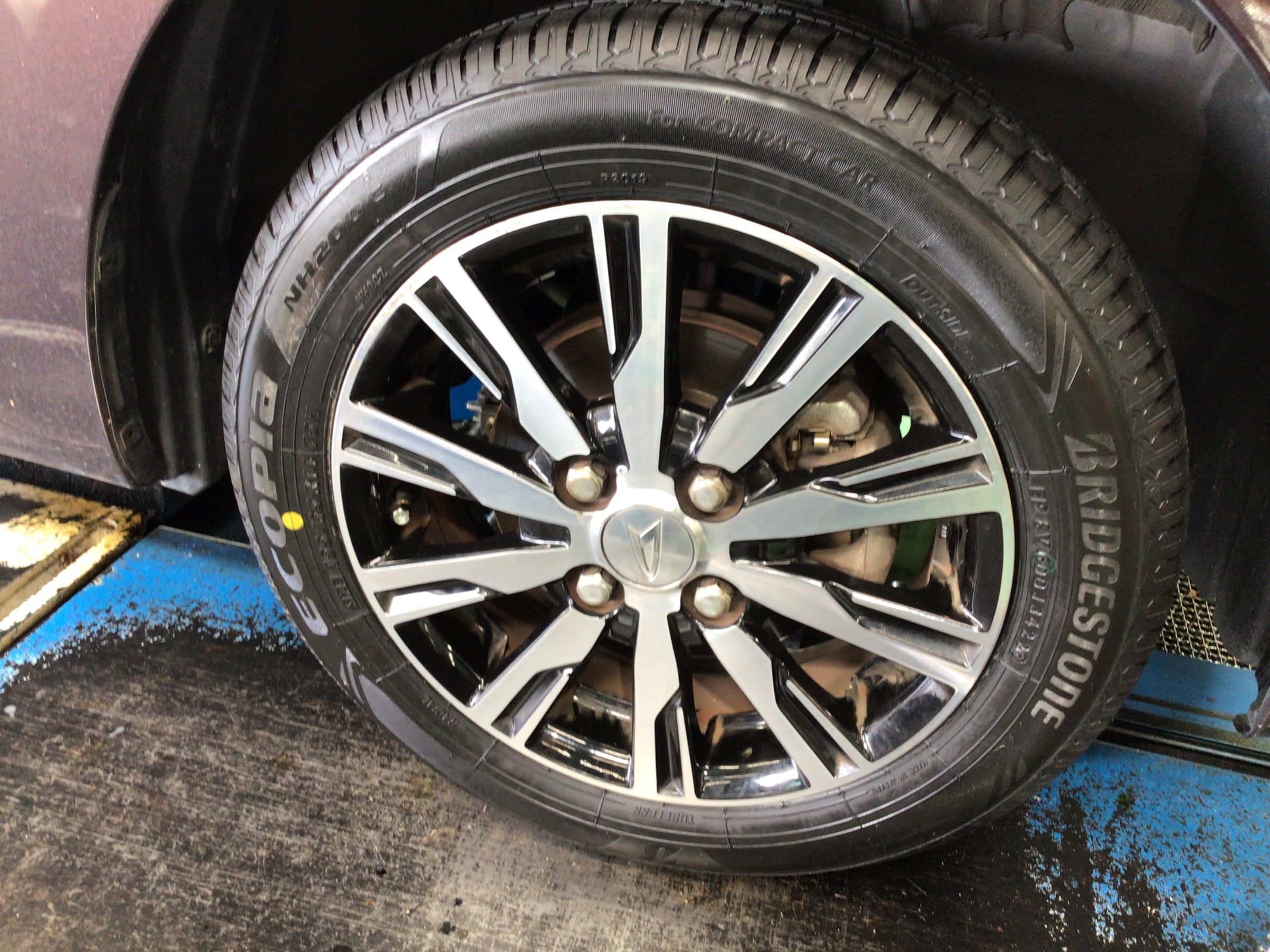 スタッフ撮影画像になります