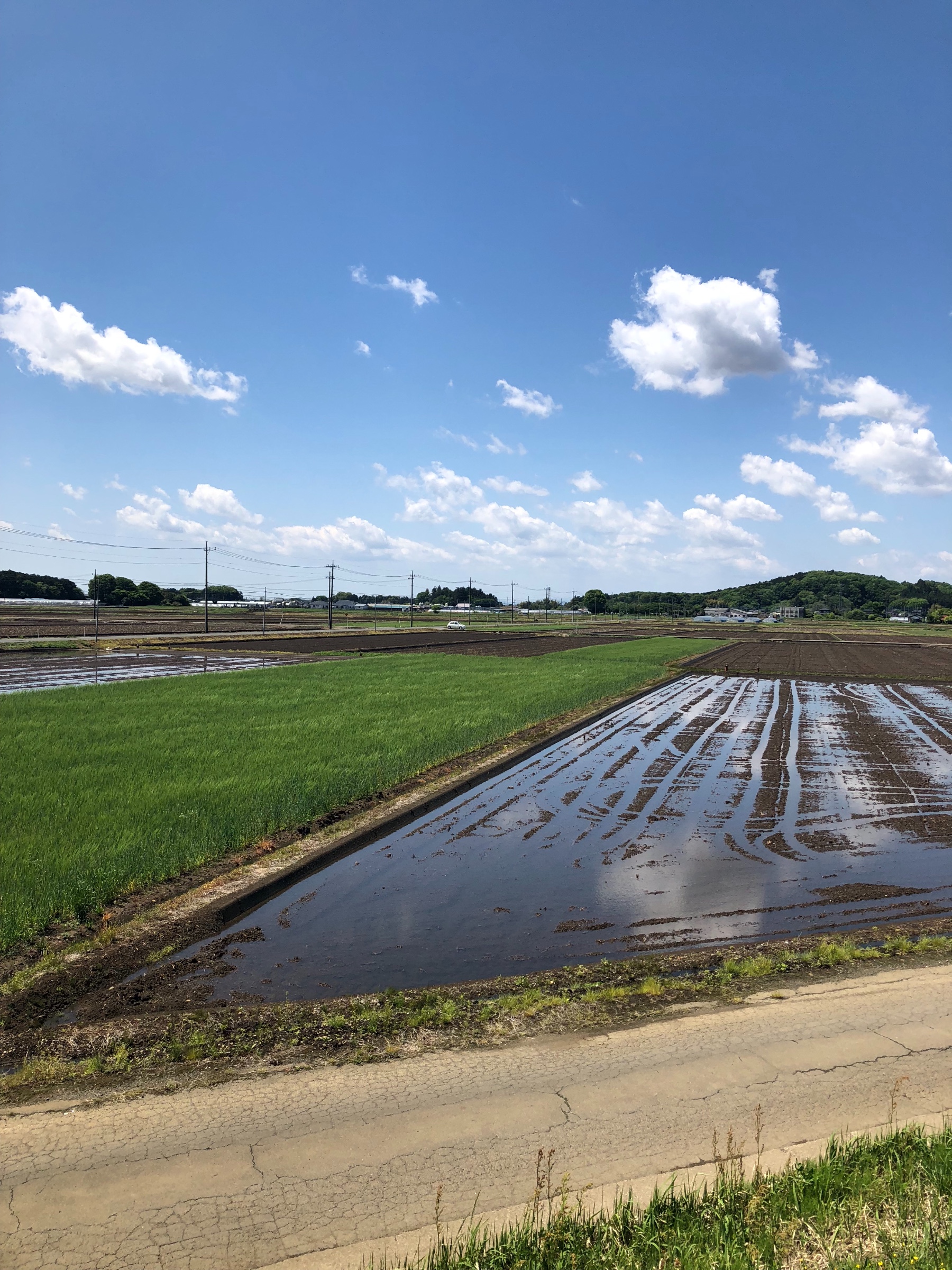 スタッフ撮影です。