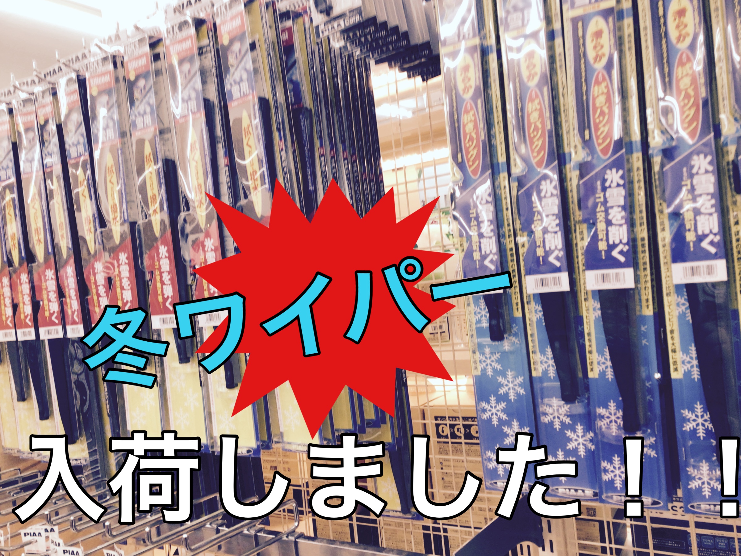 スタッフ撮影画像です。