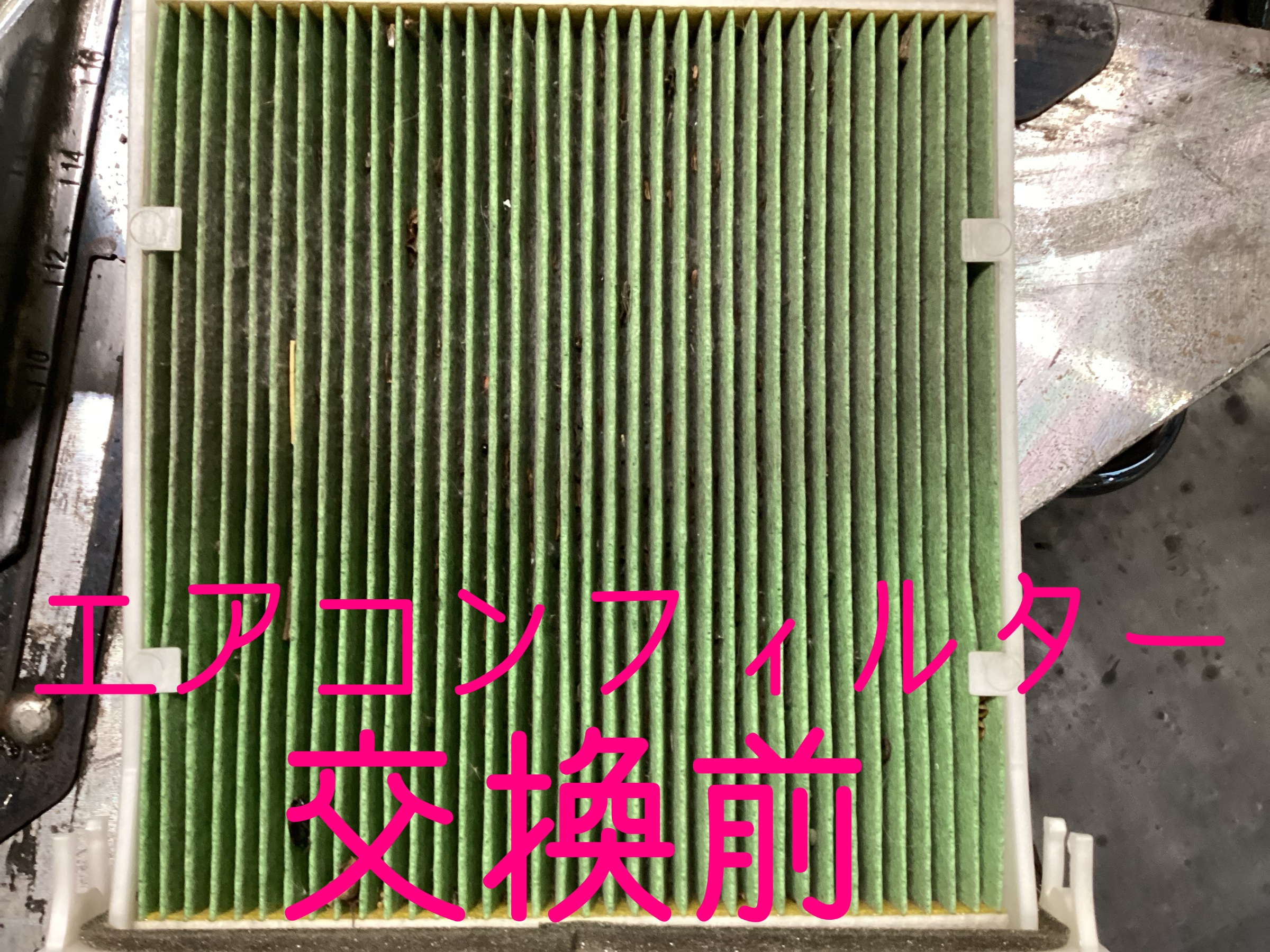 スタッフ撮影画像