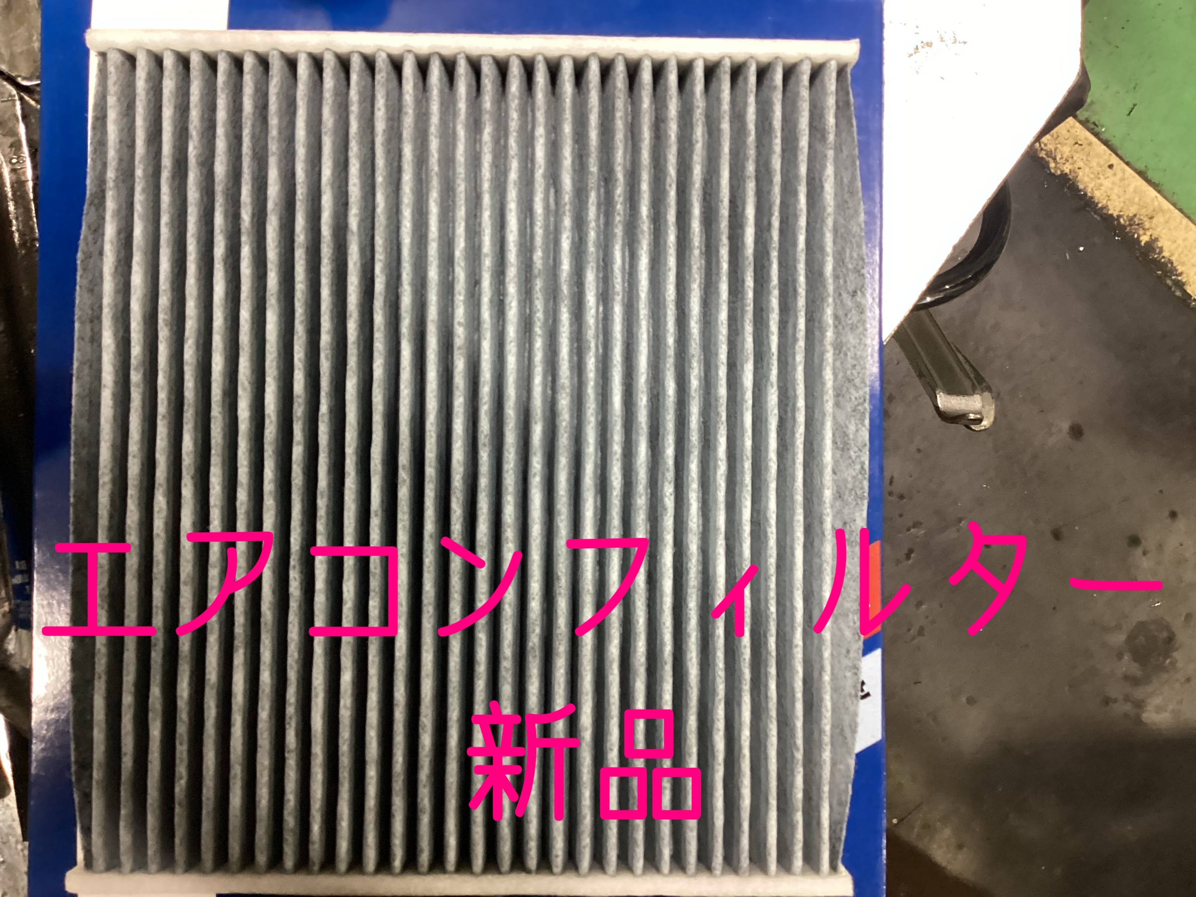 スタッフ撮影画像