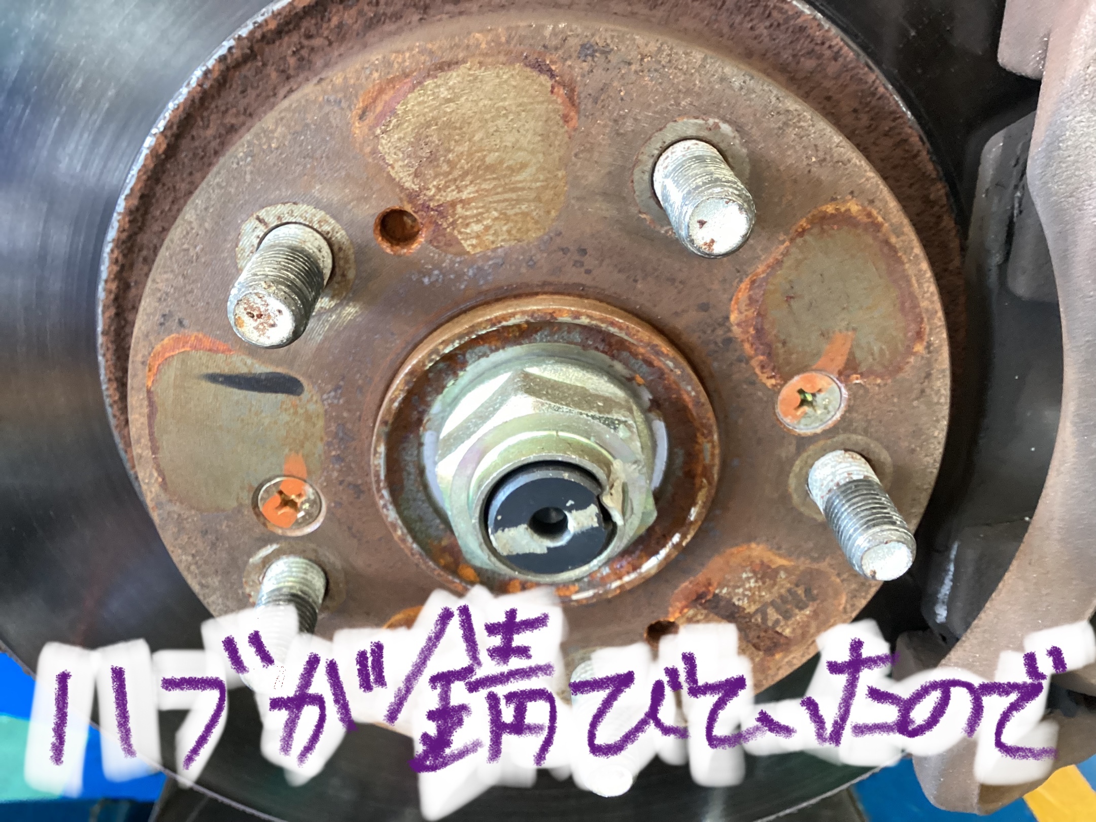 スタッフ撮影分です