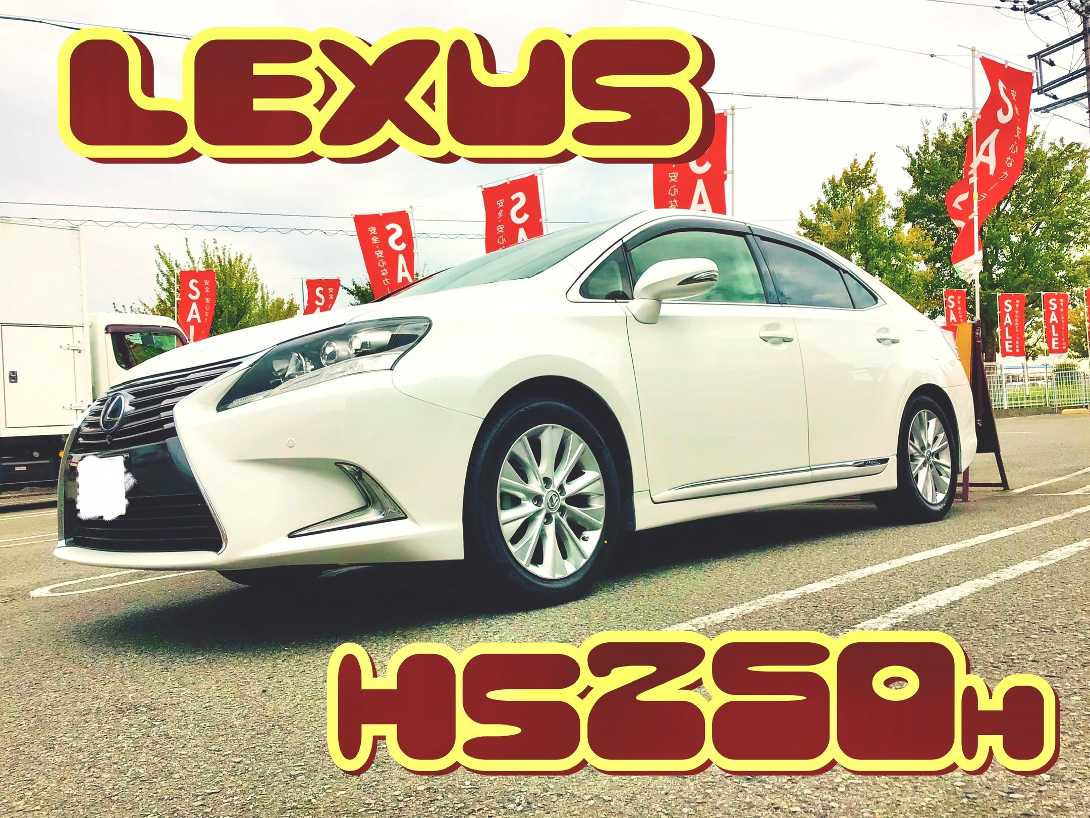 スタッフ撮影分