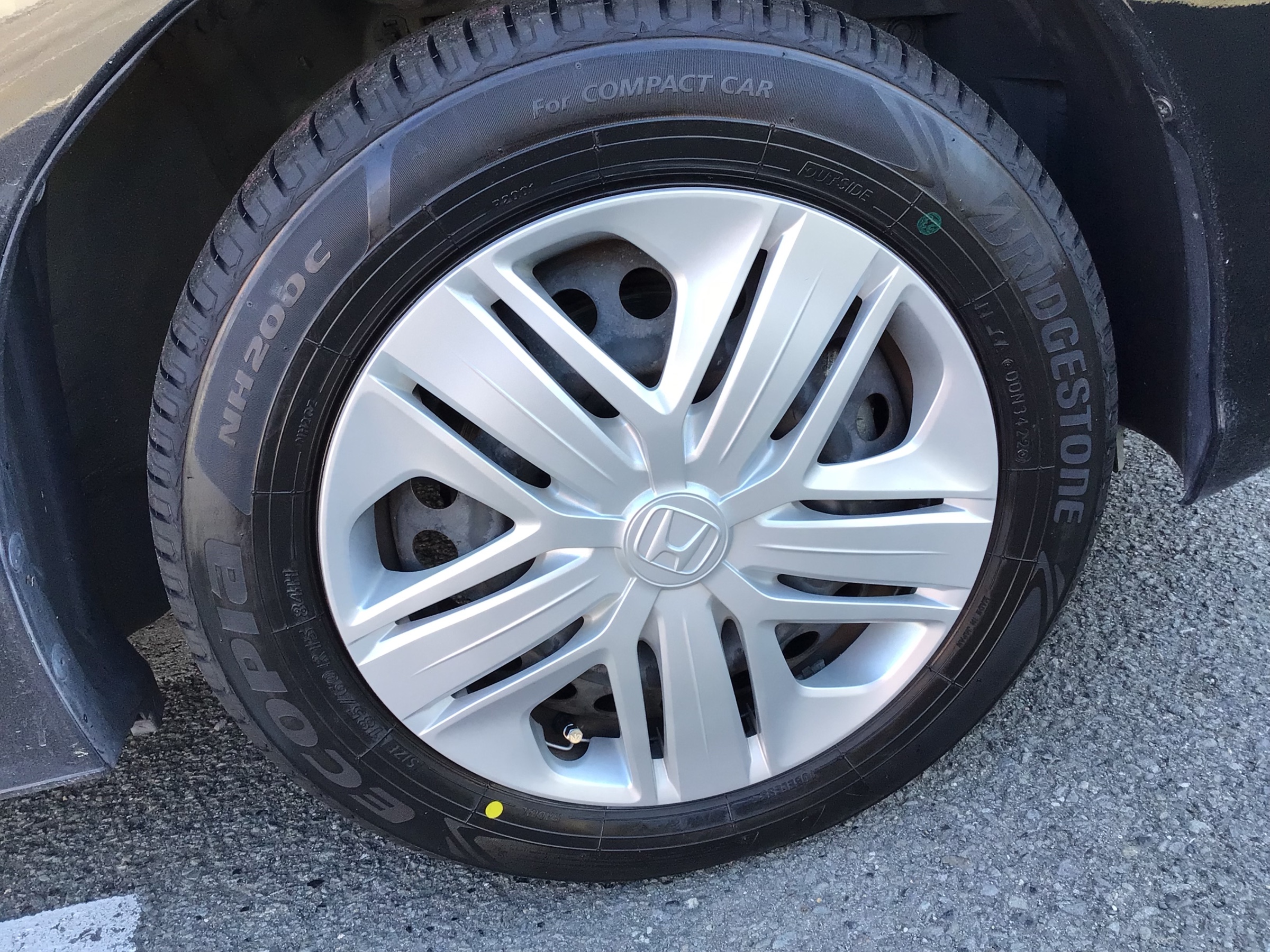 スタッフ撮影分