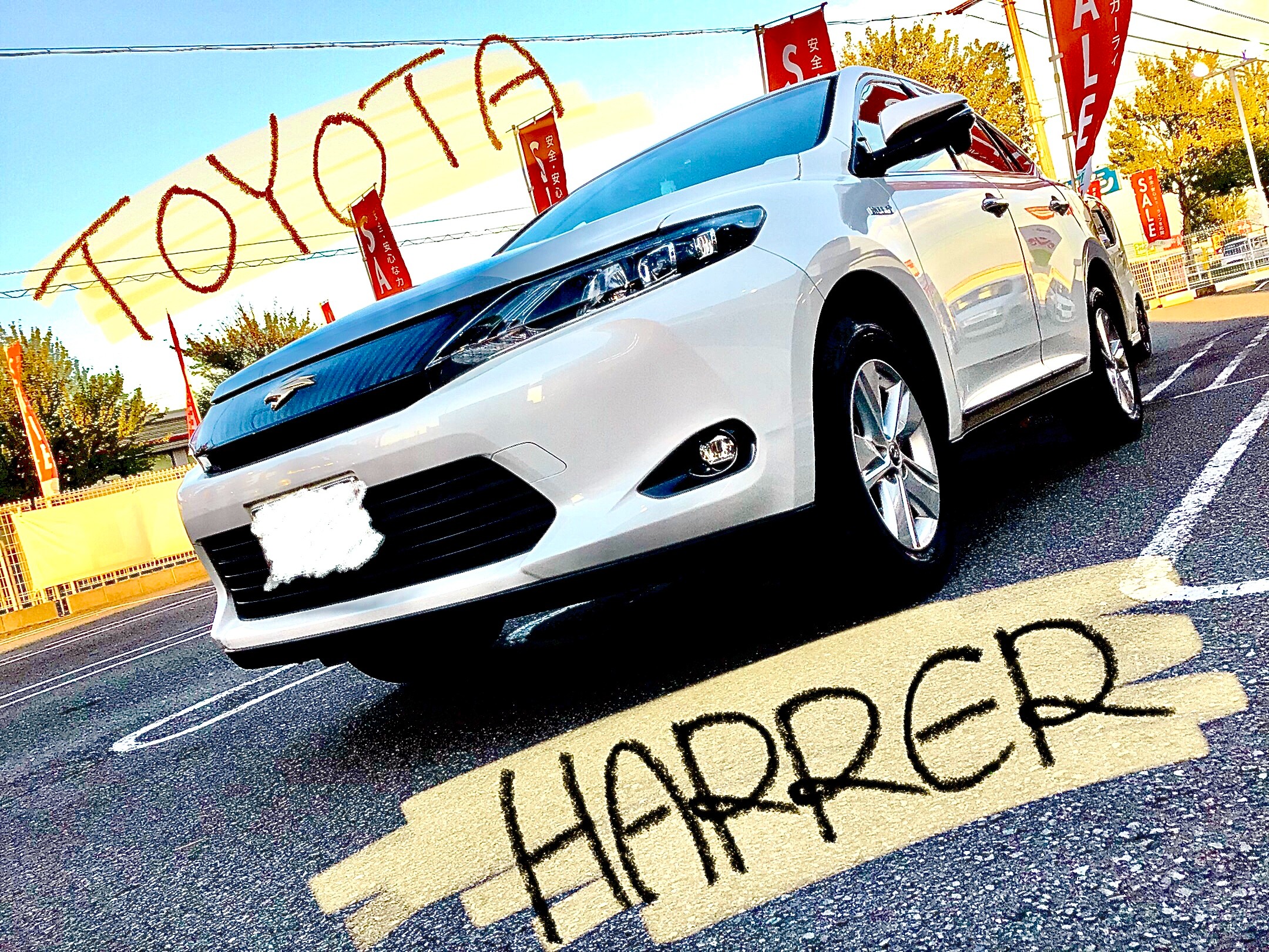 スタッフ撮影分