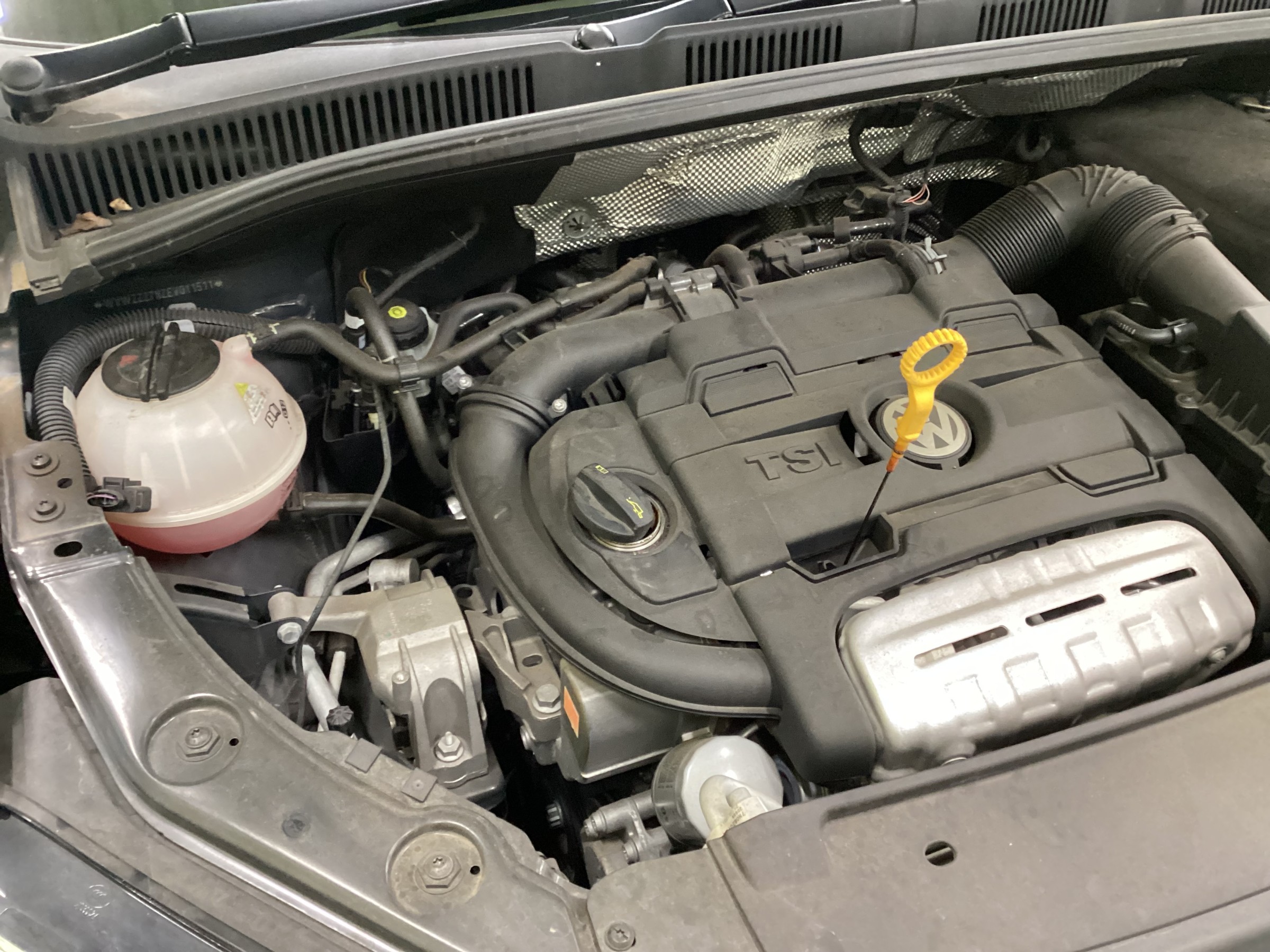 VW シャラン エンジンオイル交換   フォルクスワーゲン シャラン
