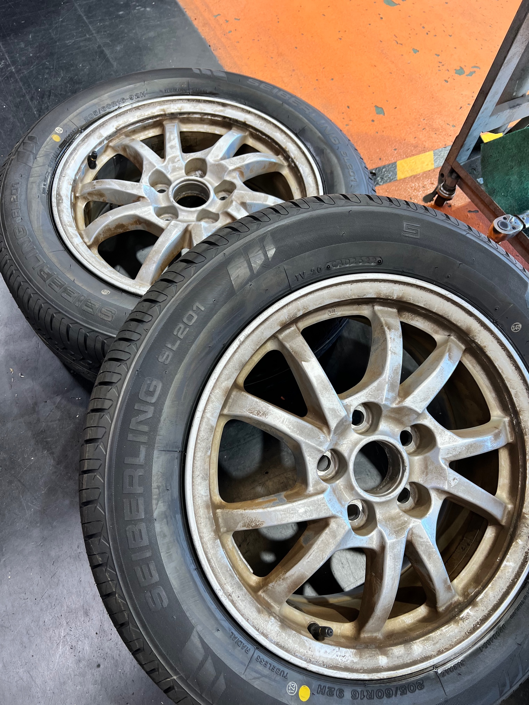 マラソン限定！ポイント5倍 プリウス30・205/50R16 | www.enricocamanni.it